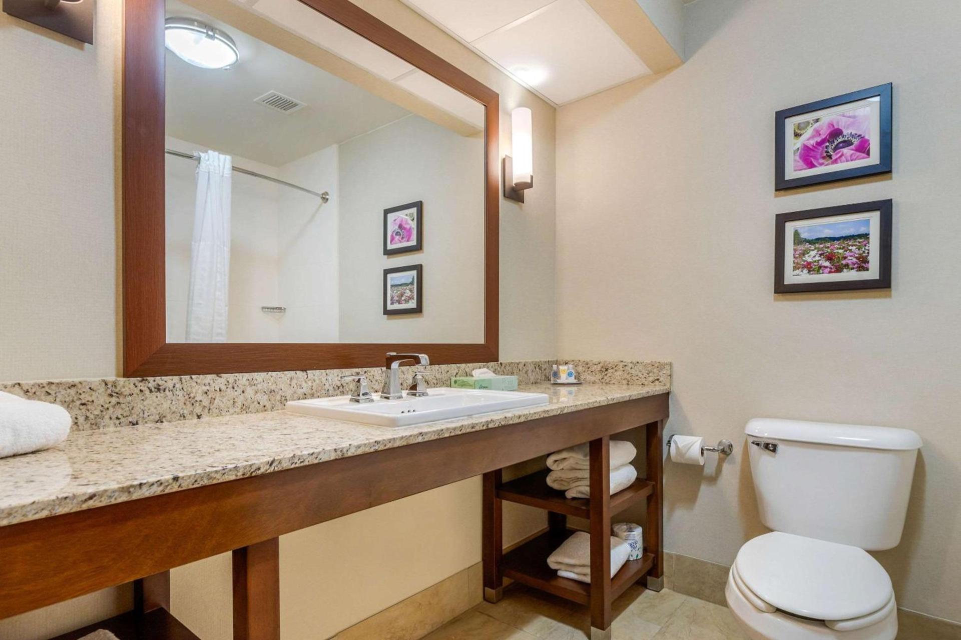 Comfort Suites Gastonia - Charlotte photo 22