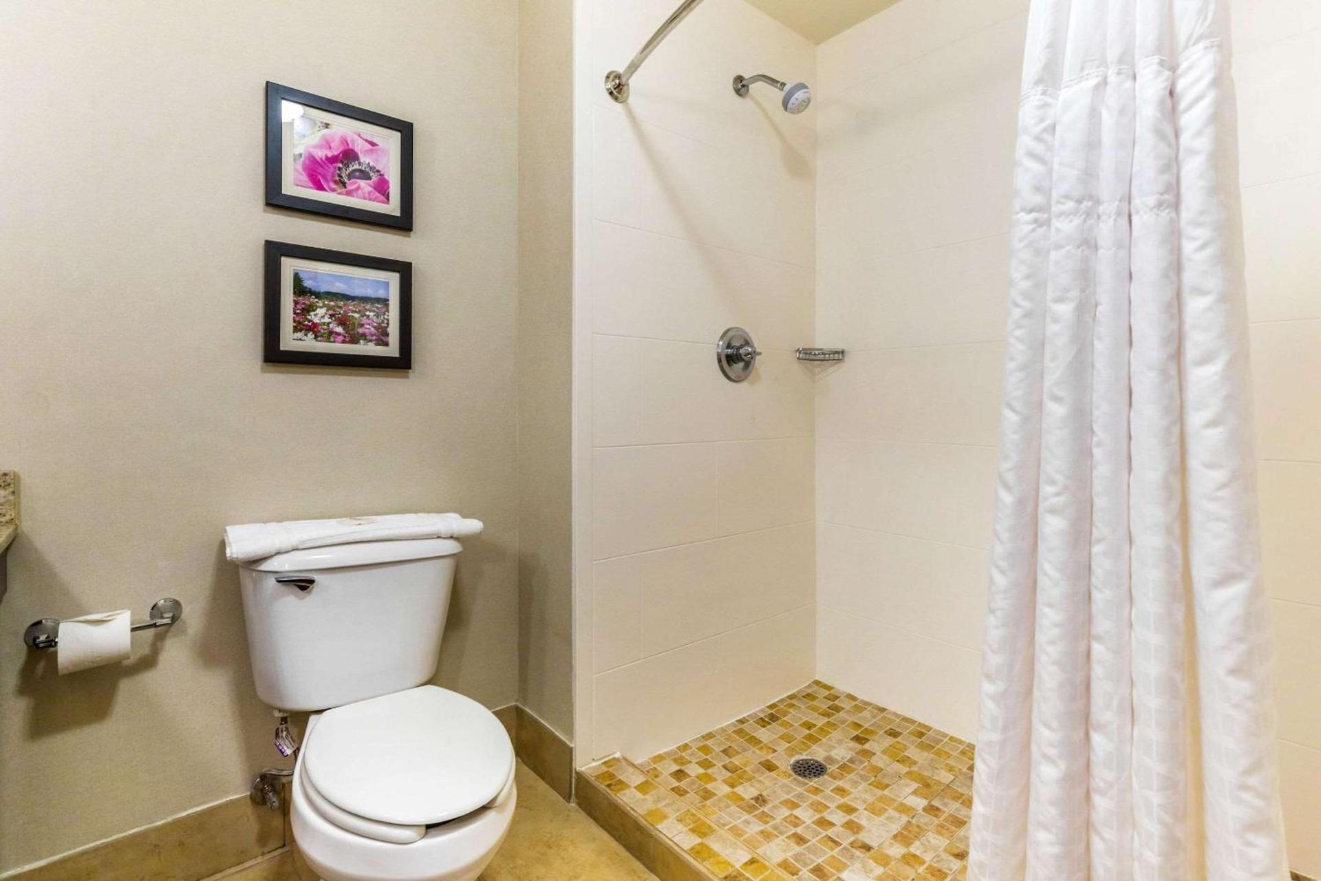 Comfort Suites Gastonia - Charlotte photo 23