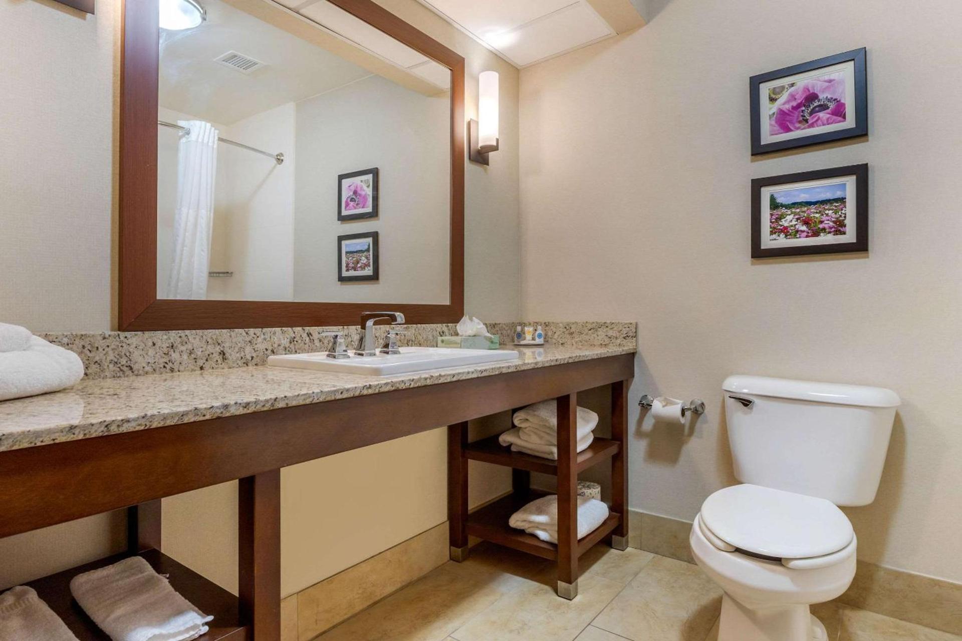 Comfort Suites Gastonia - Charlotte photo 25