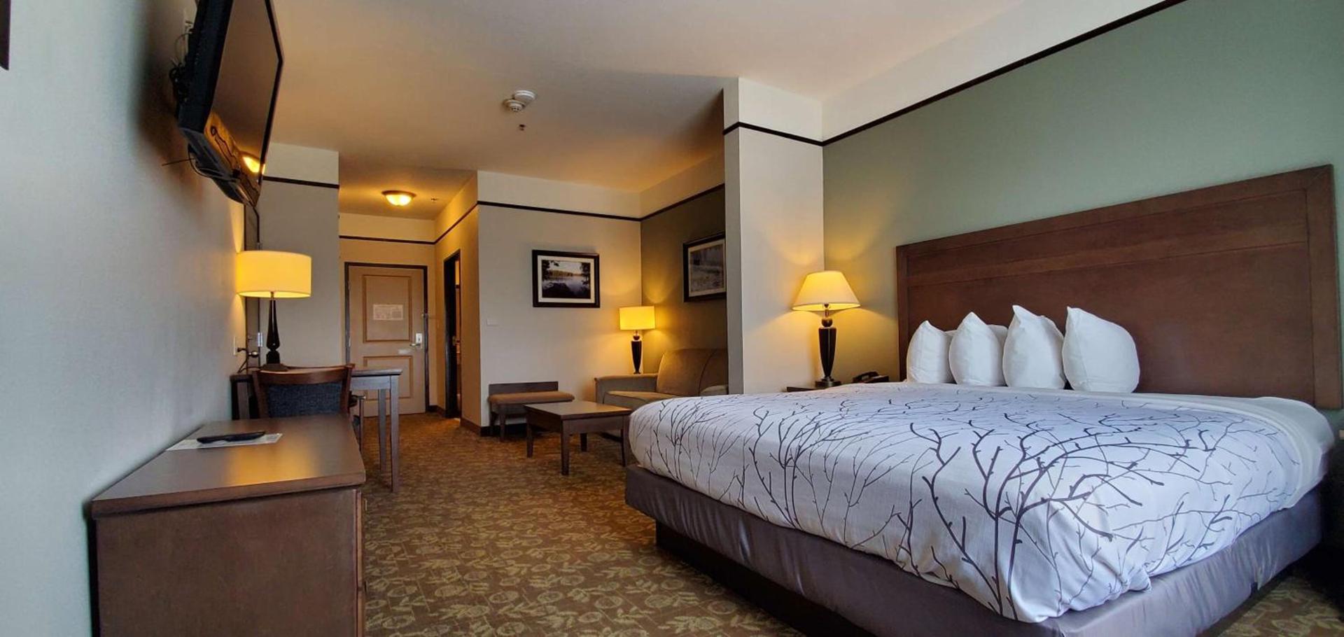 Best Western Plus Emory at Lake Fork Inn & Suites photo 3