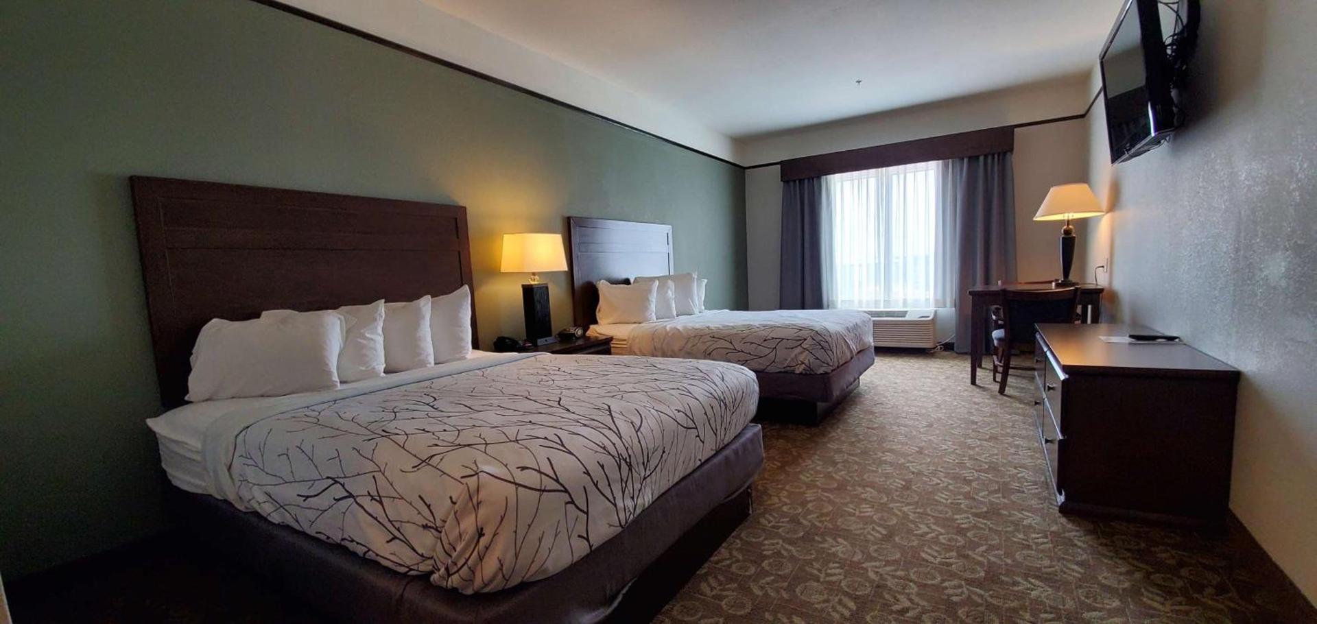 Best Western Plus Emory at Lake Fork Inn & Suites photo 6