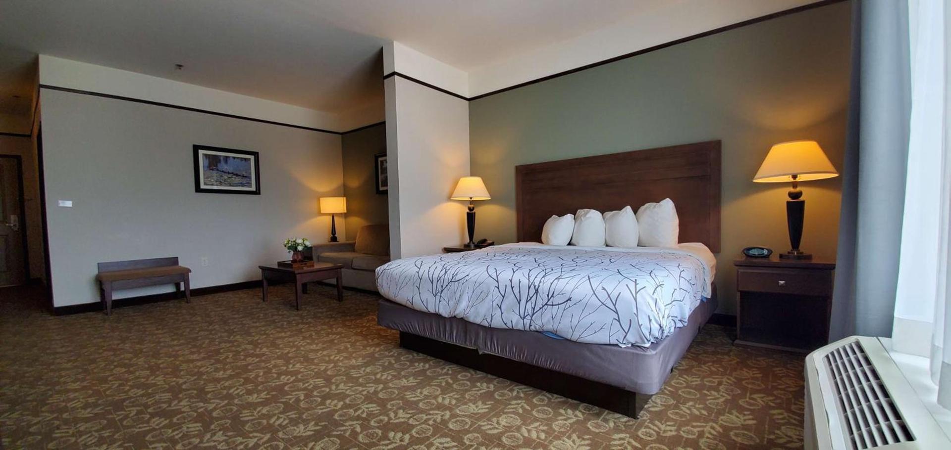 Best Western Plus Emory at Lake Fork Inn & Suites photo 9