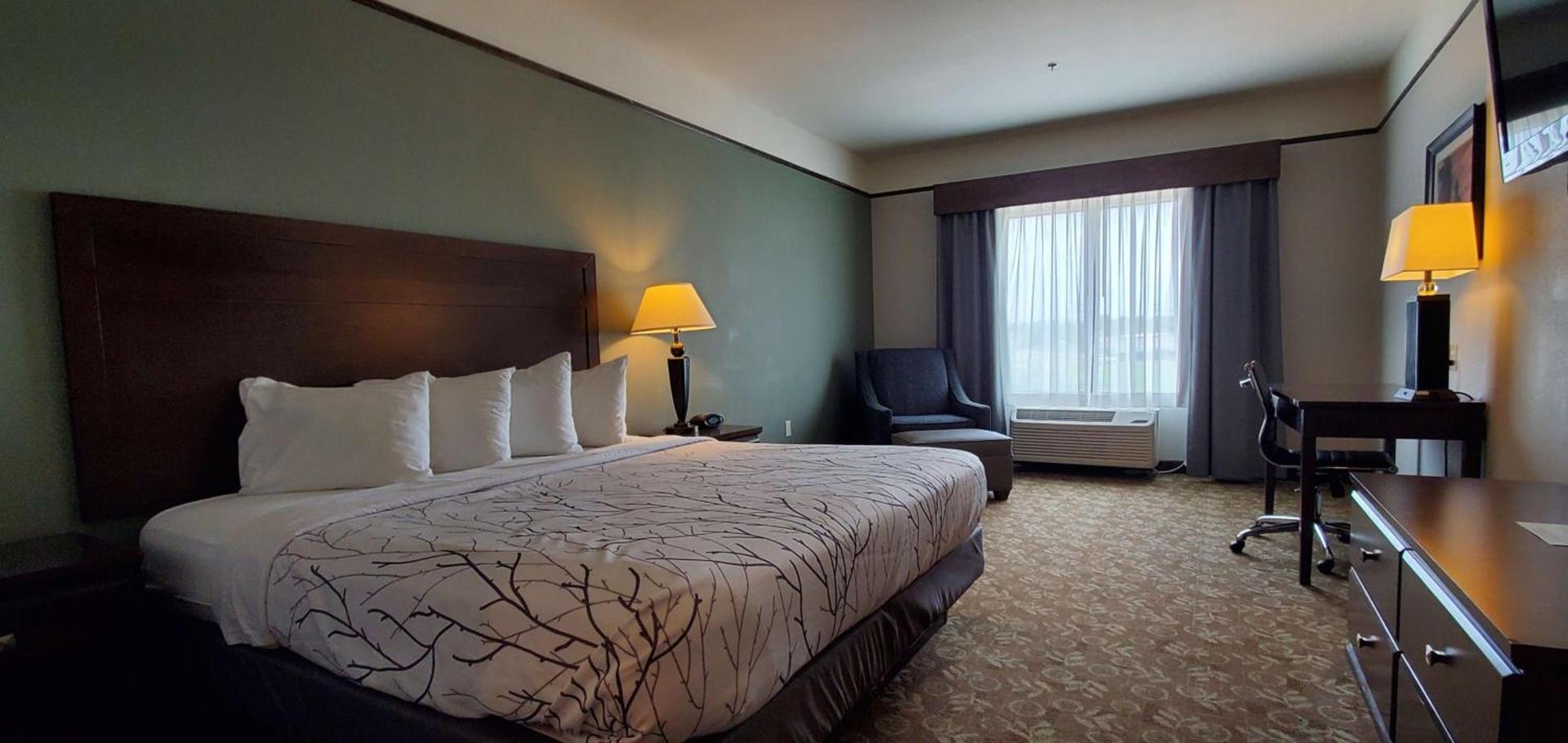 Best Western Plus Emory at Lake Fork Inn & Suites photo 14