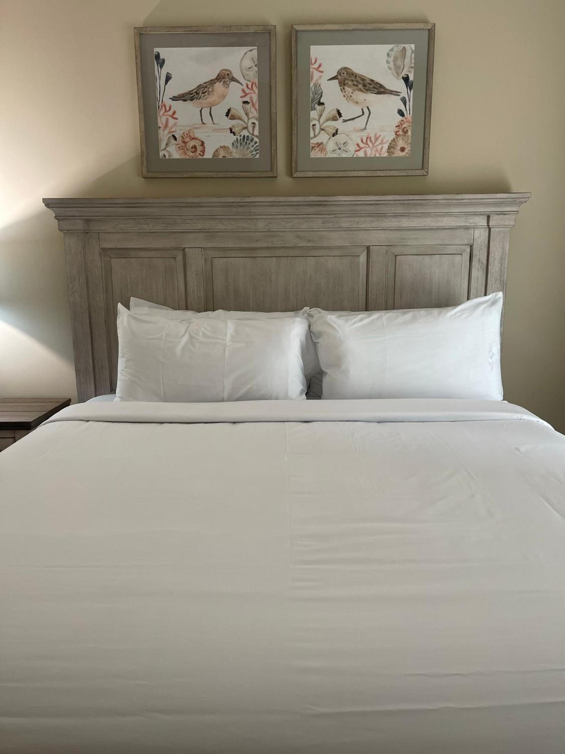 Magnolia Creek Lodge photo 53