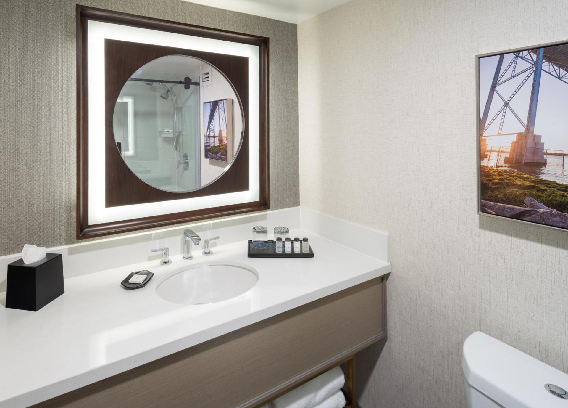 Sheraton Detroit Novi photo 41