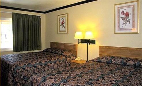 Town House Motel photo 6