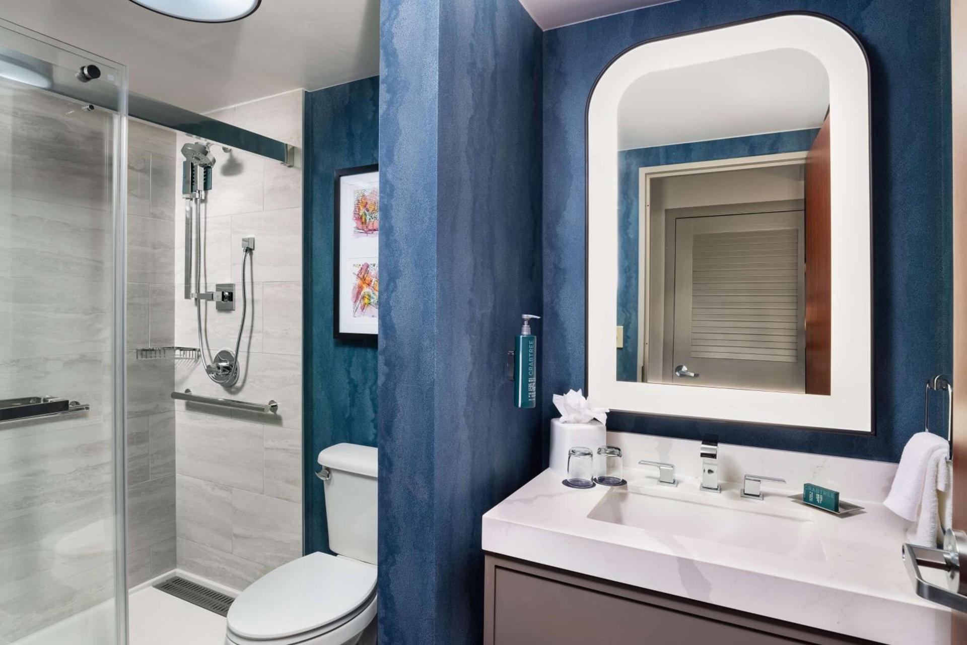 DoubleTree by Hilton Houston Medical Center Hotel & Suites photo 60