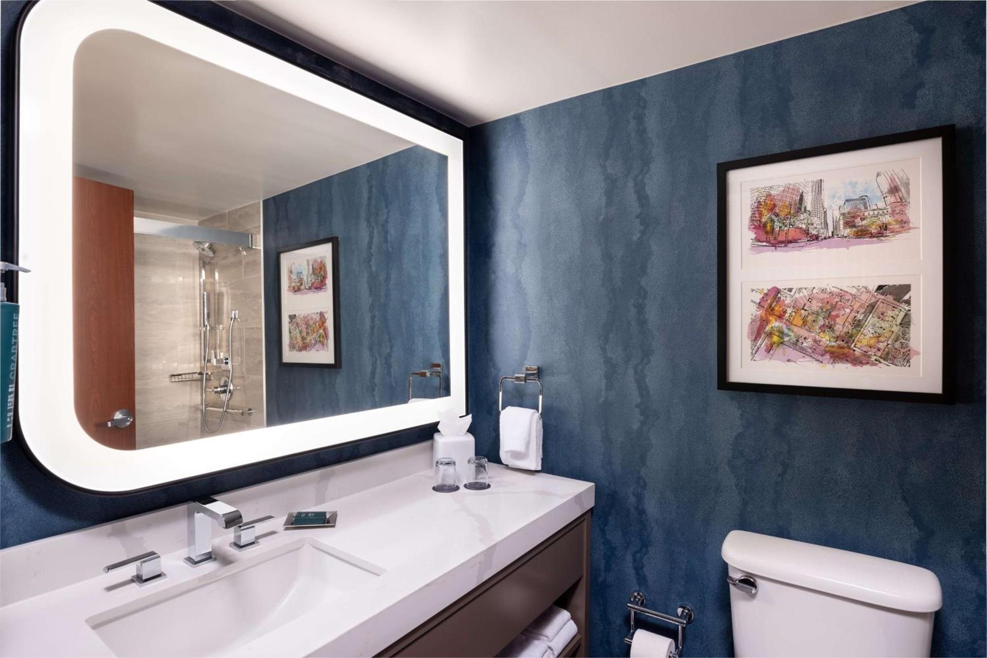 DoubleTree by Hilton Houston Medical Center Hotel & Suites photo 61