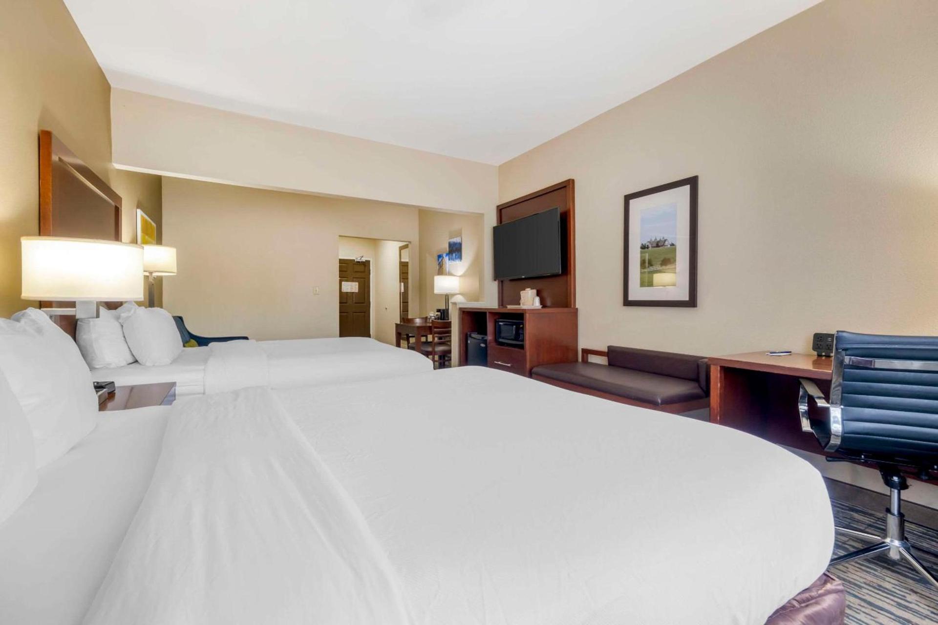 Comfort Suites Keeneland photo 4