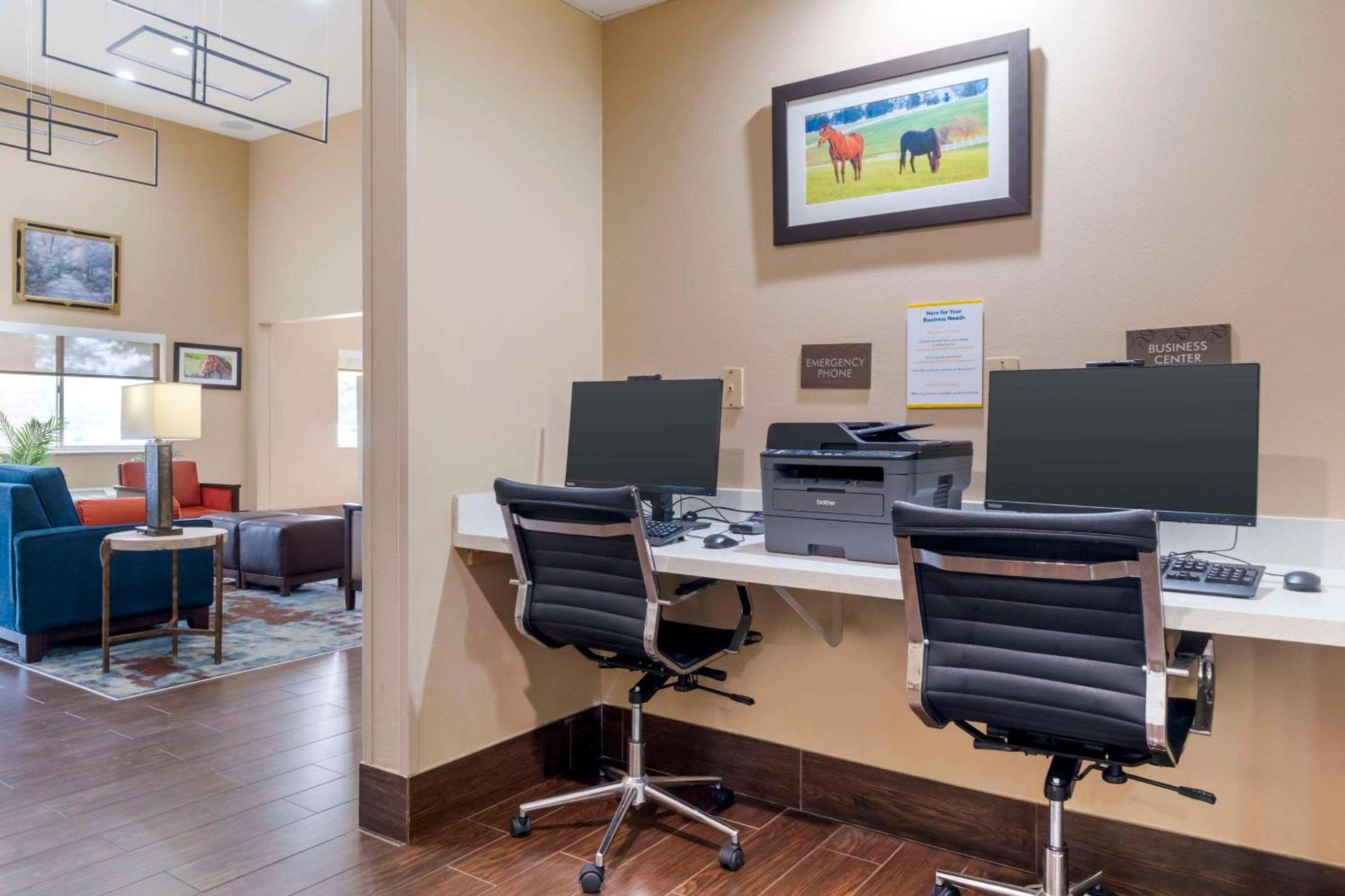 Comfort Suites Keeneland photo 28