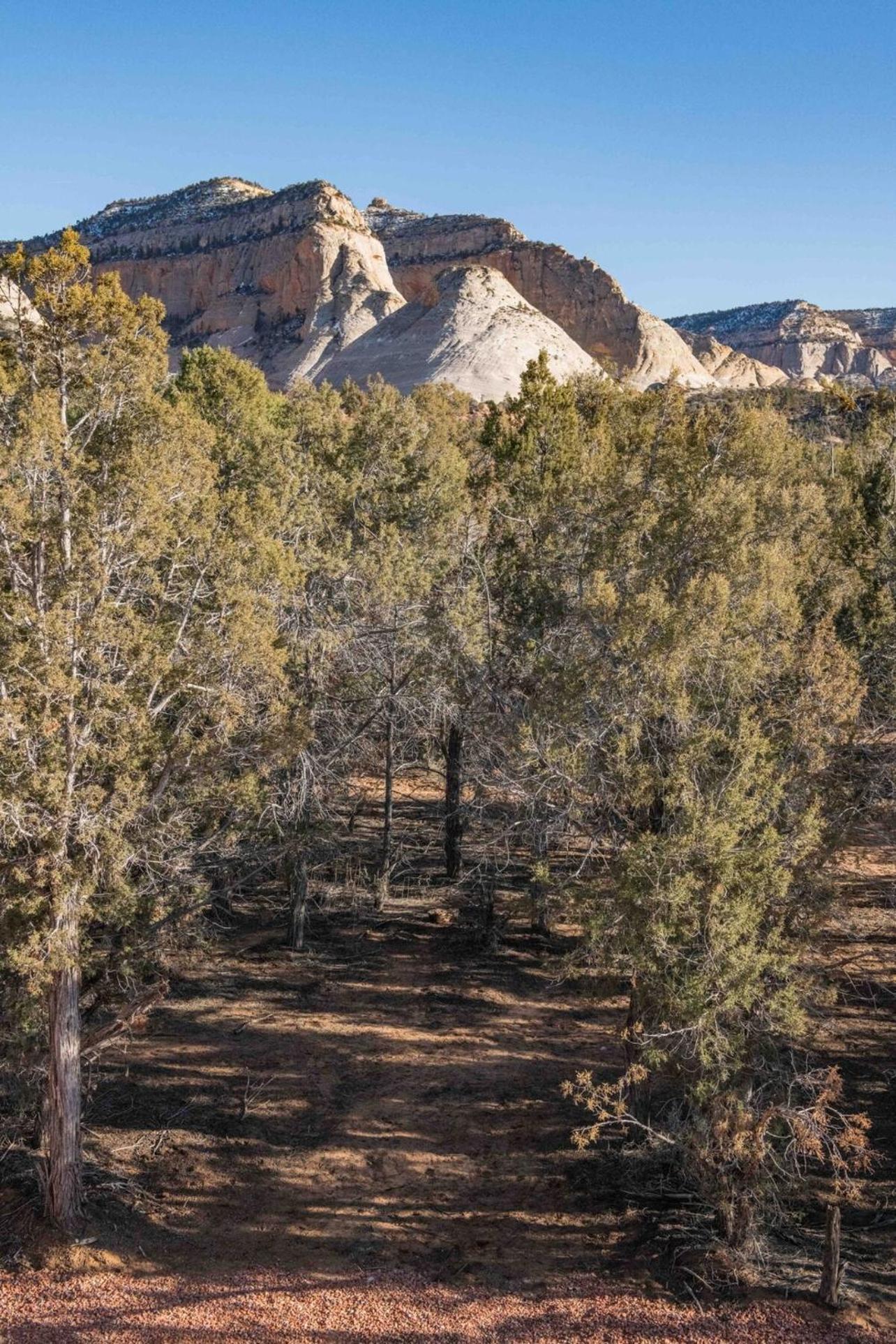 Juniper Ridge Luxury Lodge East Zion & Bryce photo 89