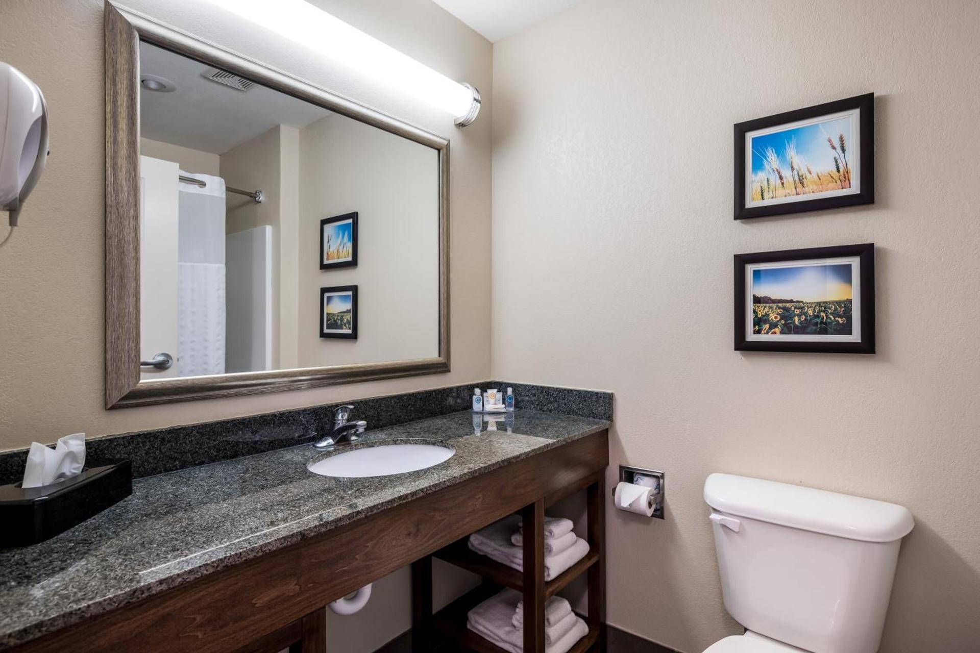 Comfort Inn Bonner Springs Kansas City photo 27
