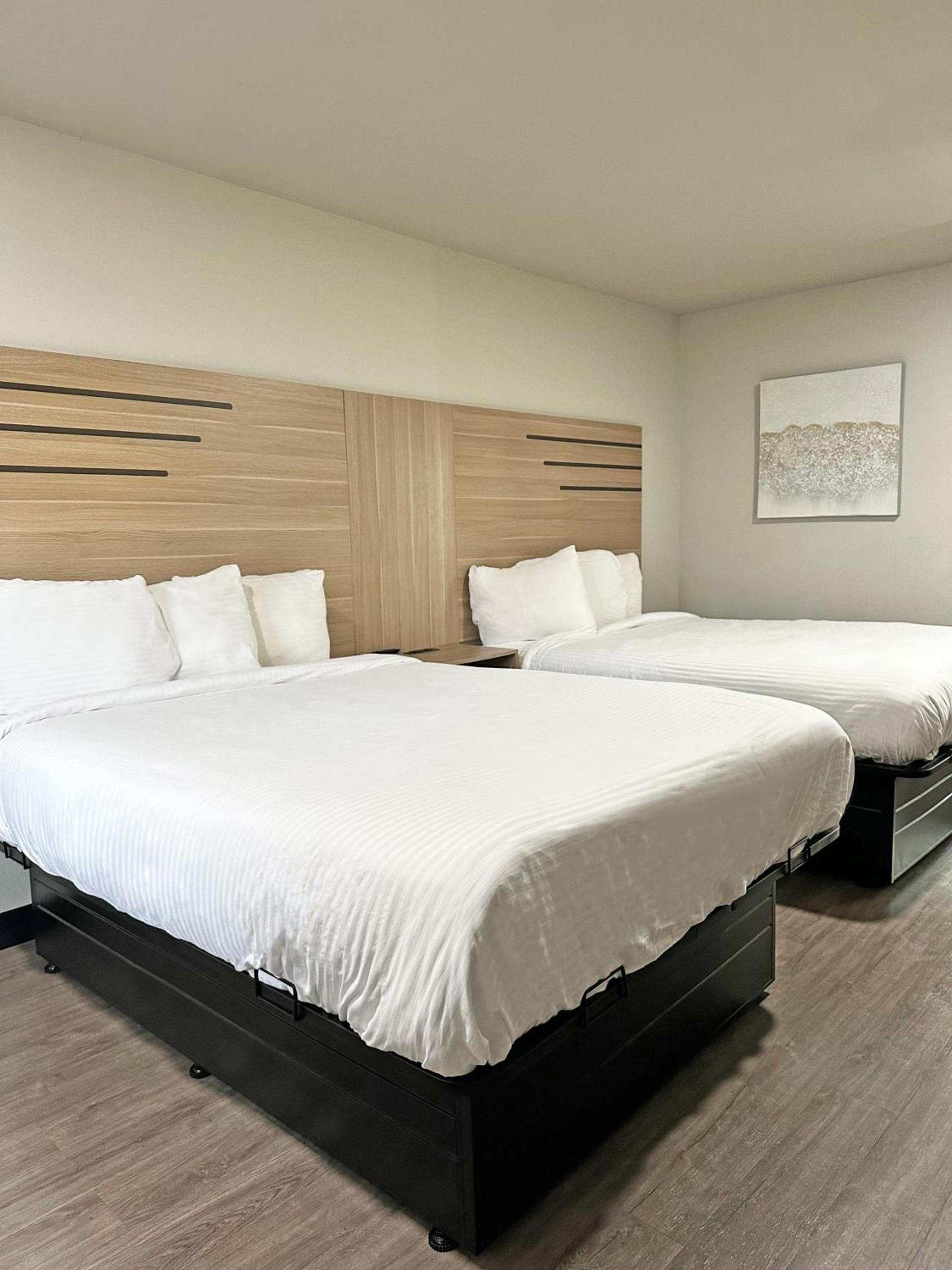 Imperial Suites, Adults Only photo 7