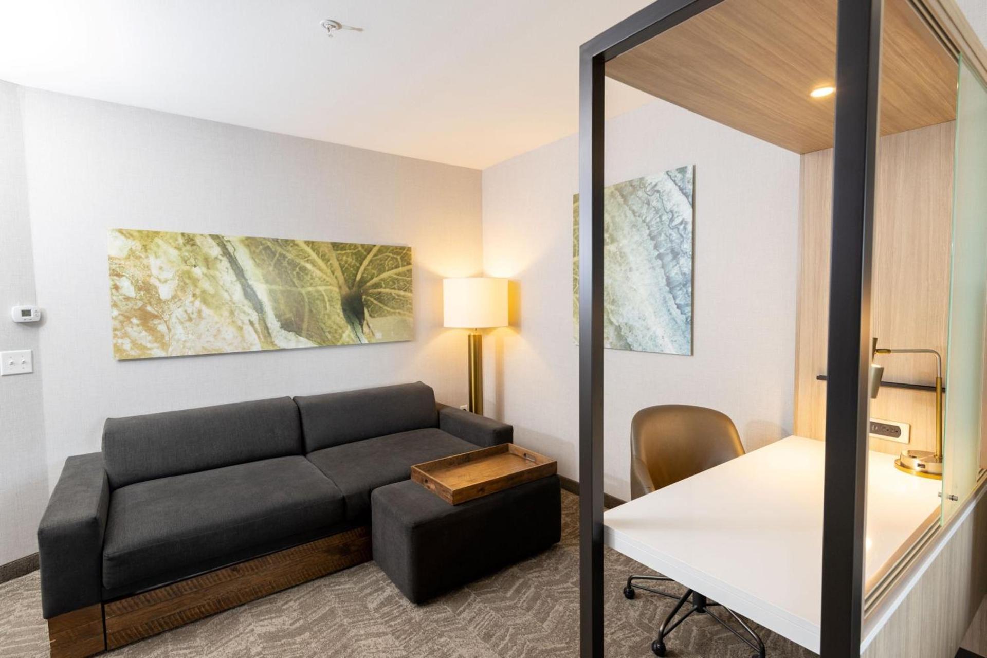 SpringHill Suites by Marriott Austin Cedar Park photo 16