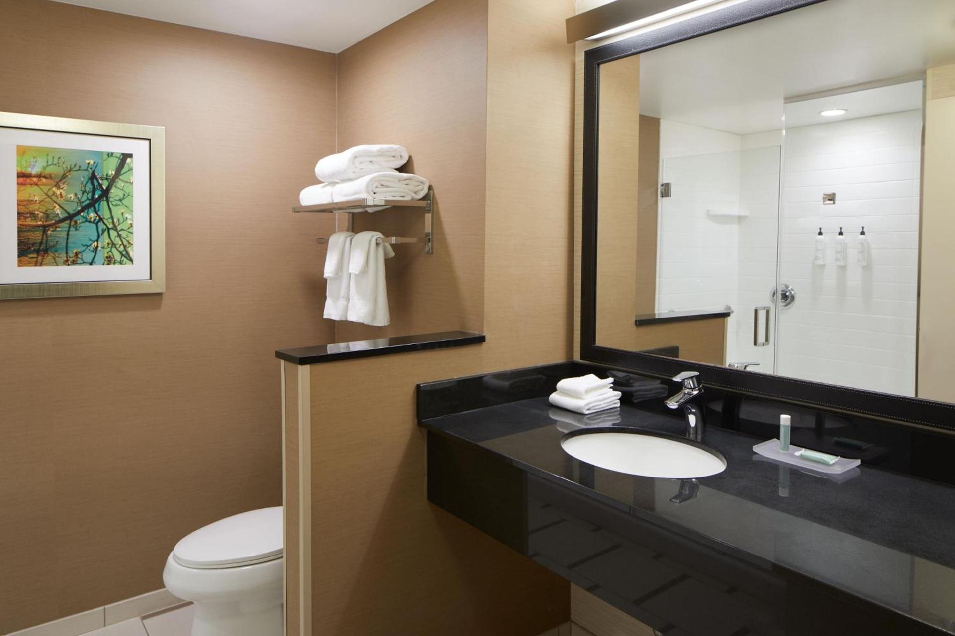 Fairfield Inn & Suites by Marriott Atlanta Lithia Springs photo 11