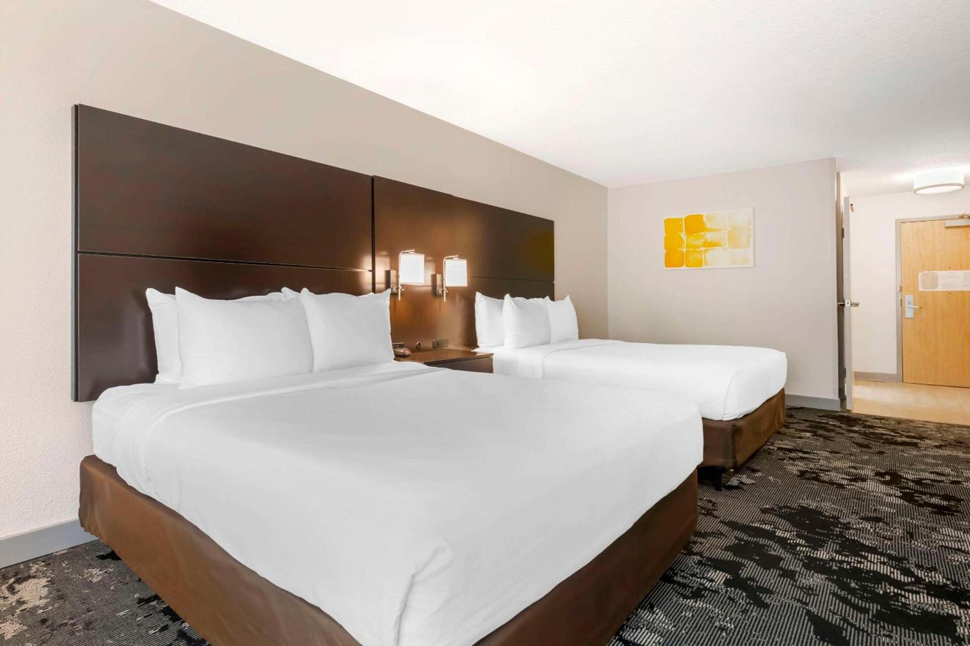 City Express by Marriott Orlando International Drive photo 60