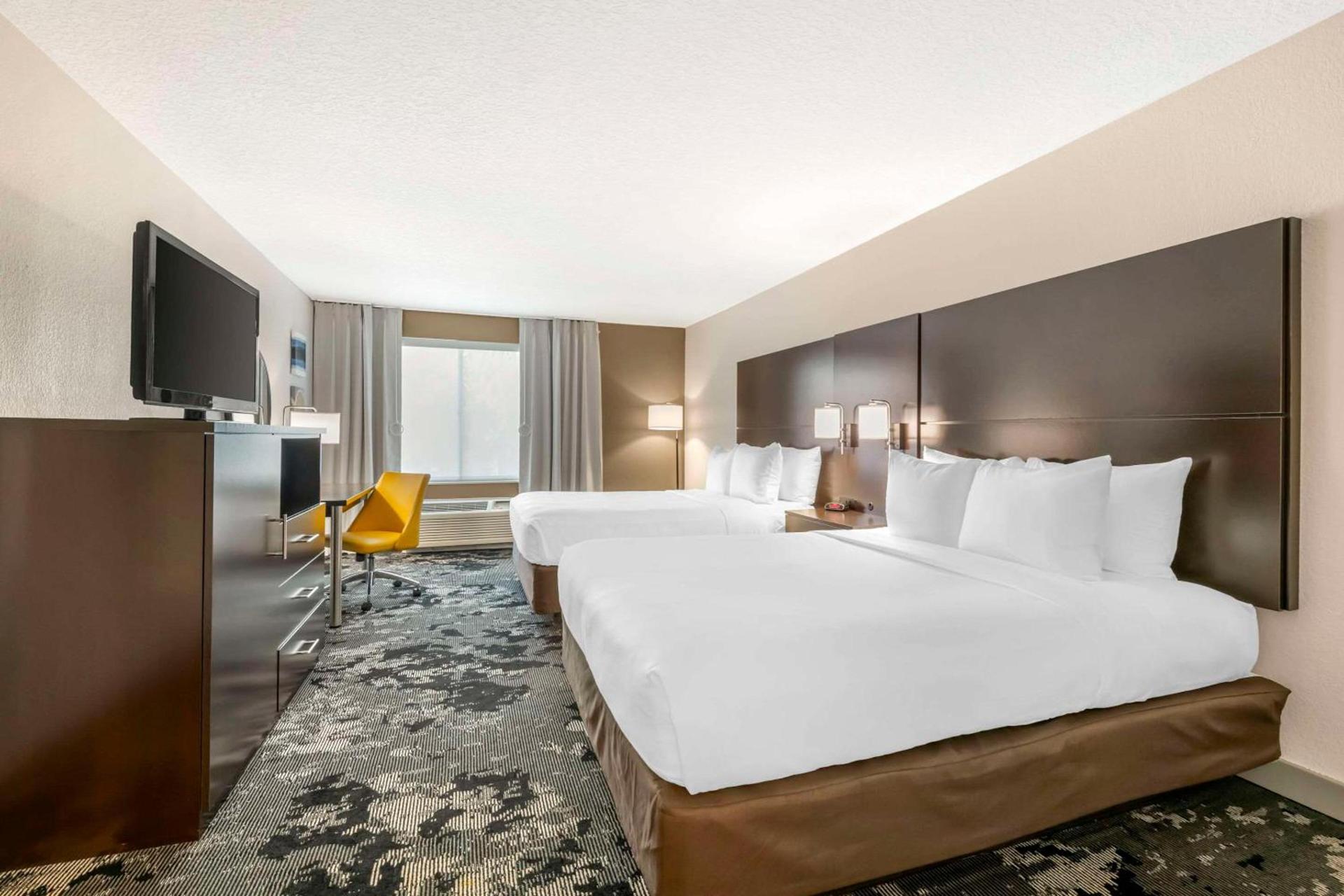 City Express by Marriott Orlando International Drive photo 49