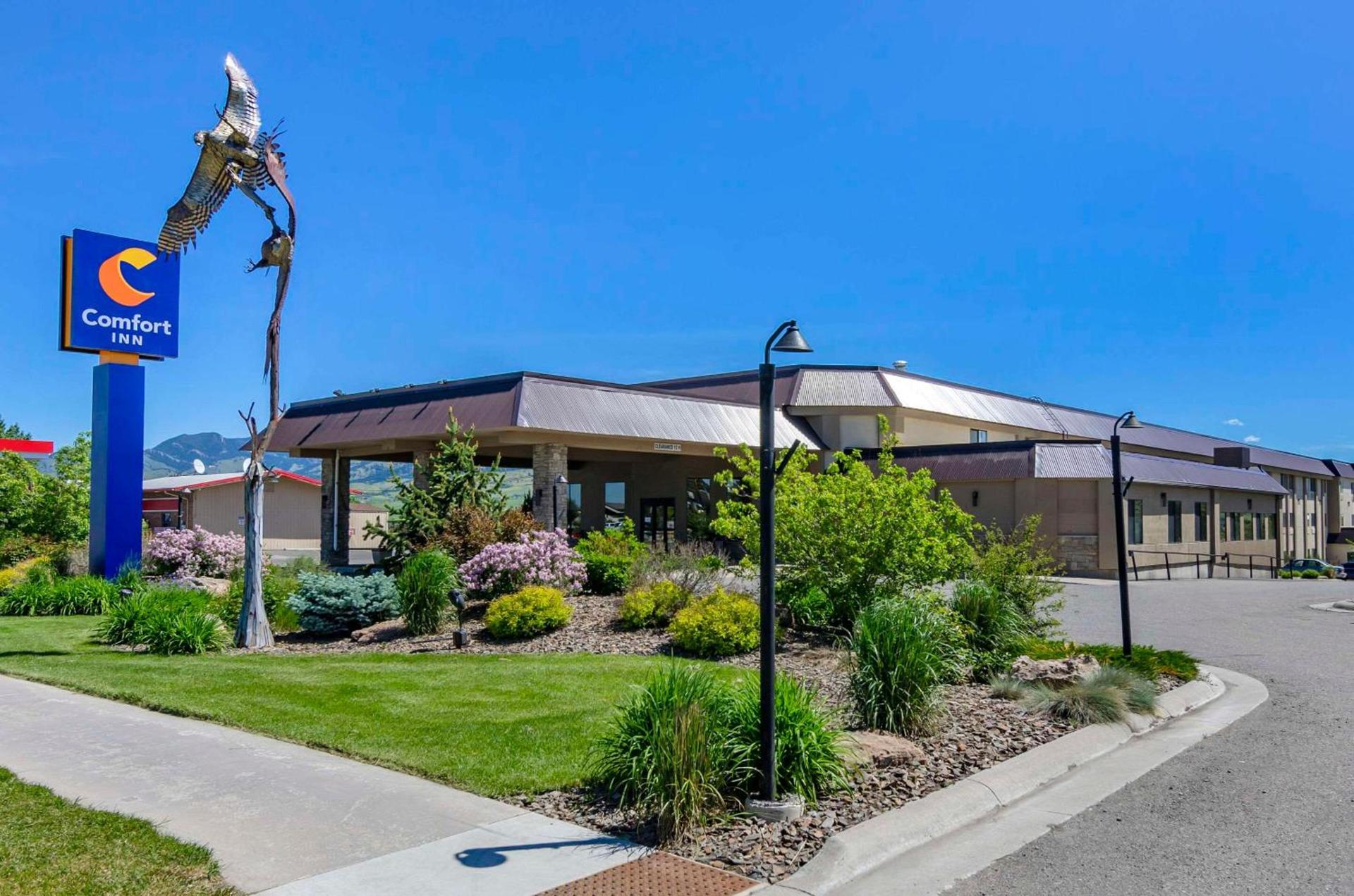 Comfort Inn Bozeman near University photo 2