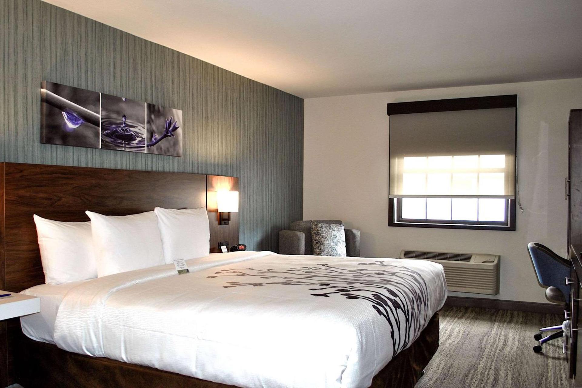 Sleep Inn Oakbrook Terrace - Chicago photo 8