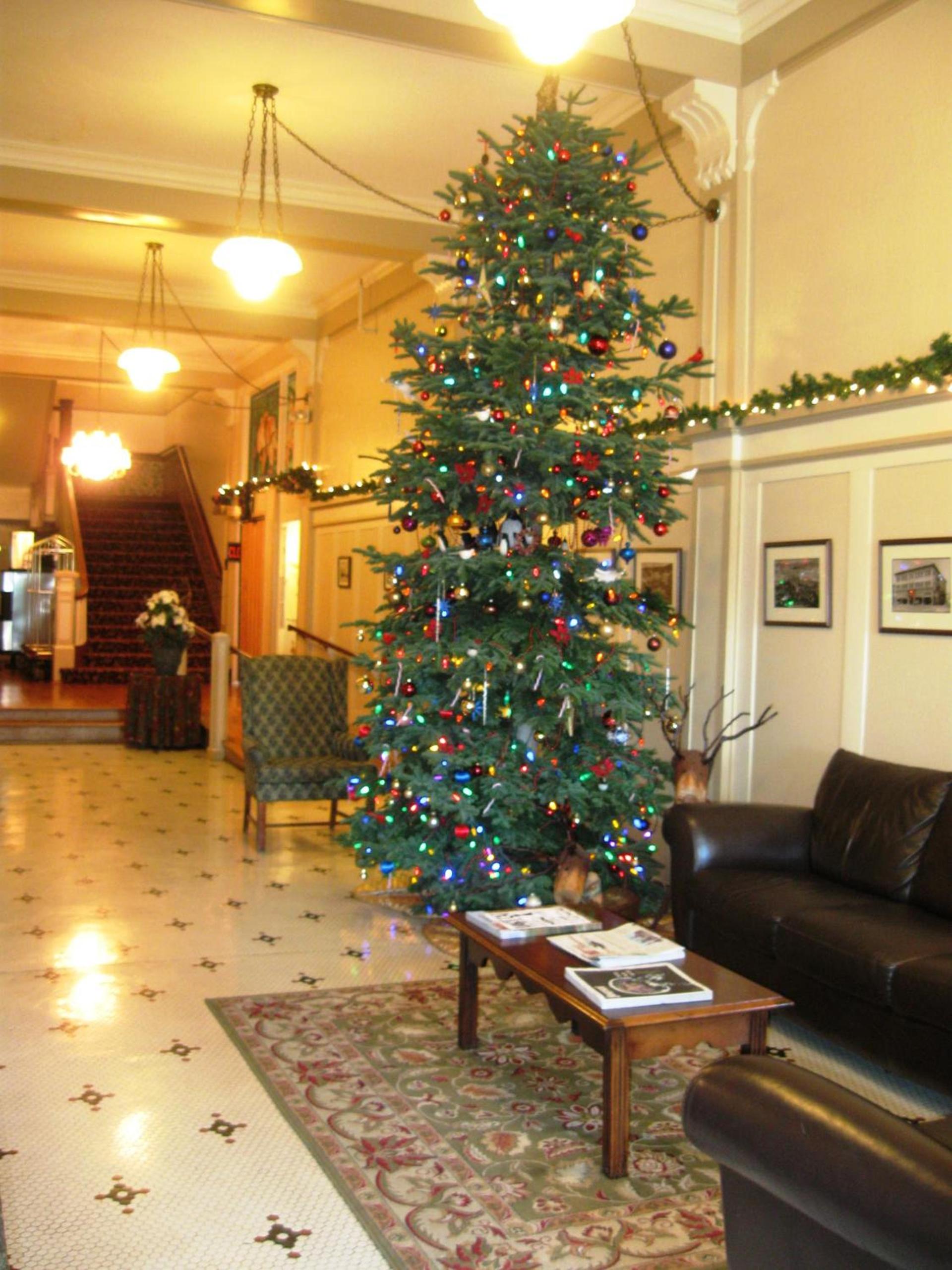 Hotel Arcata photo 54