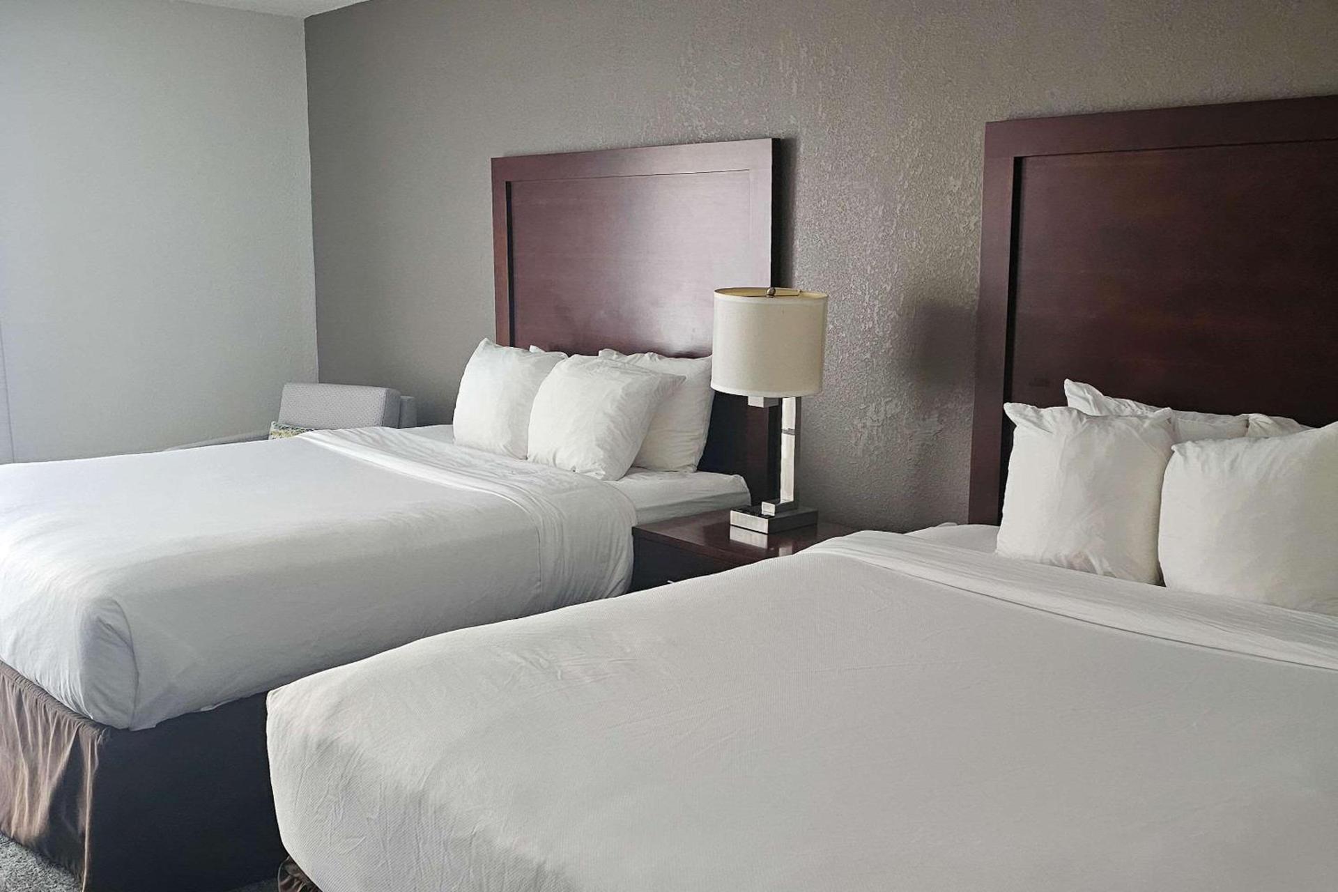 Comfort Inn Plymouth-Minneapolis photo 6