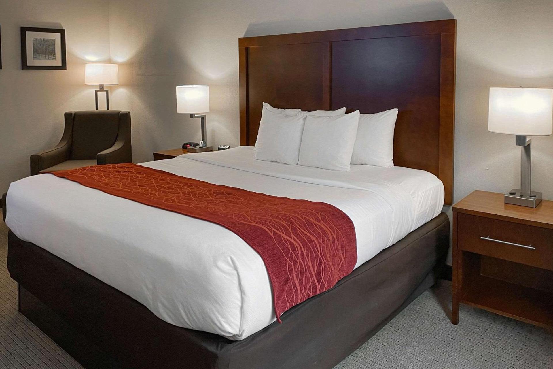 Comfort Inn & Suites Rogersville photo 8
