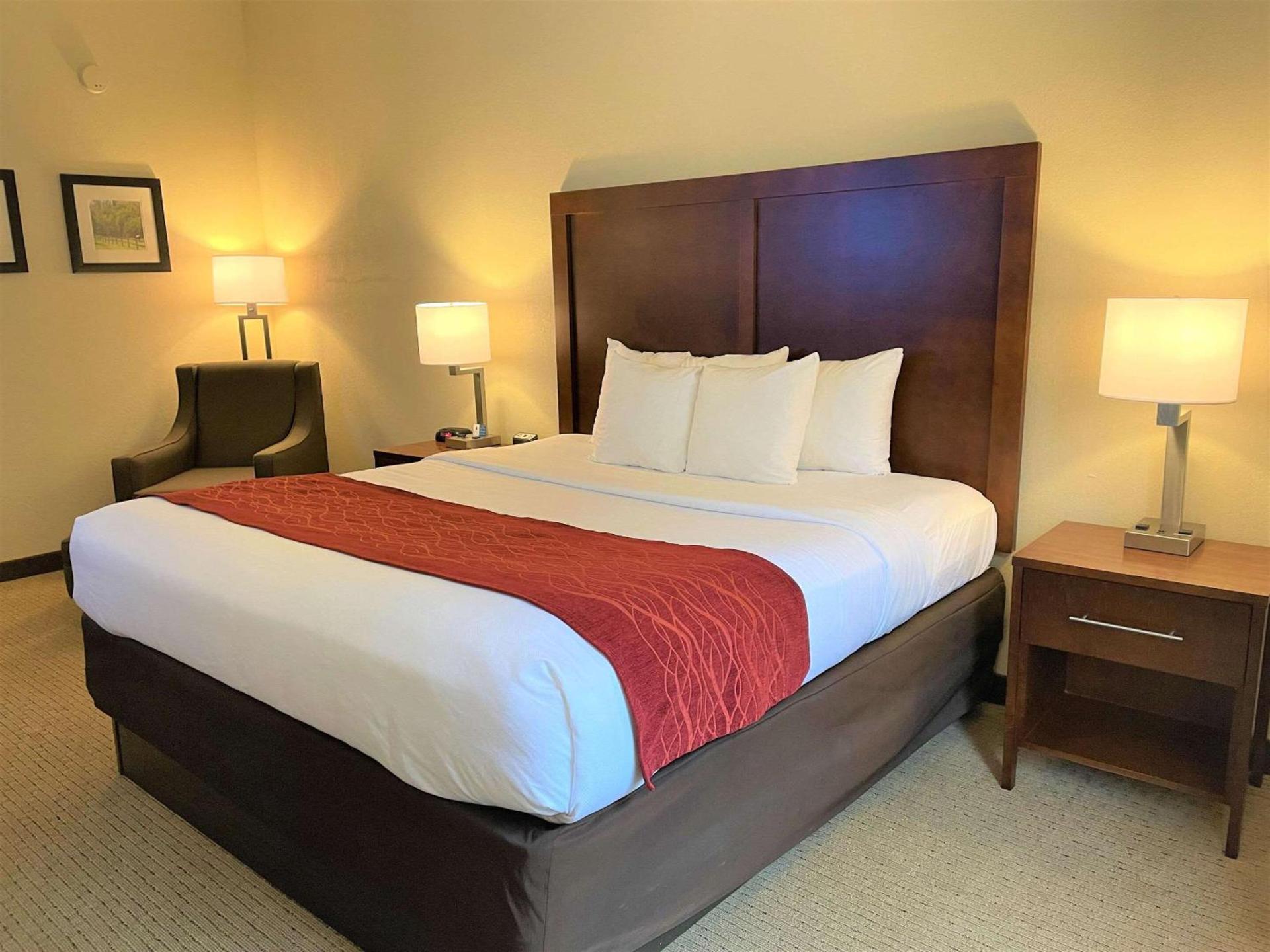 Comfort Inn & Suites Rogersville photo 27