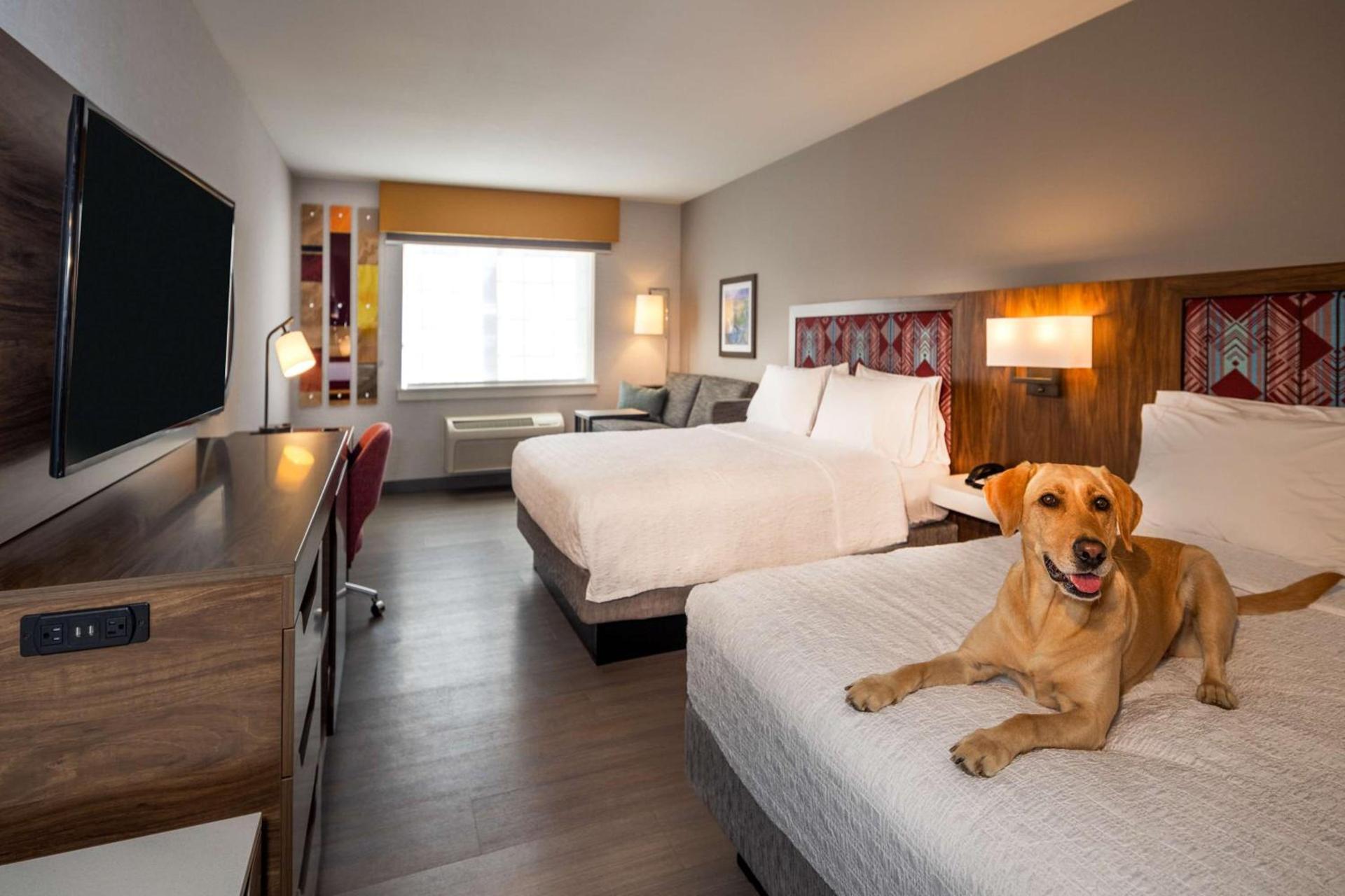 Hampton Inn Pullman photo 7