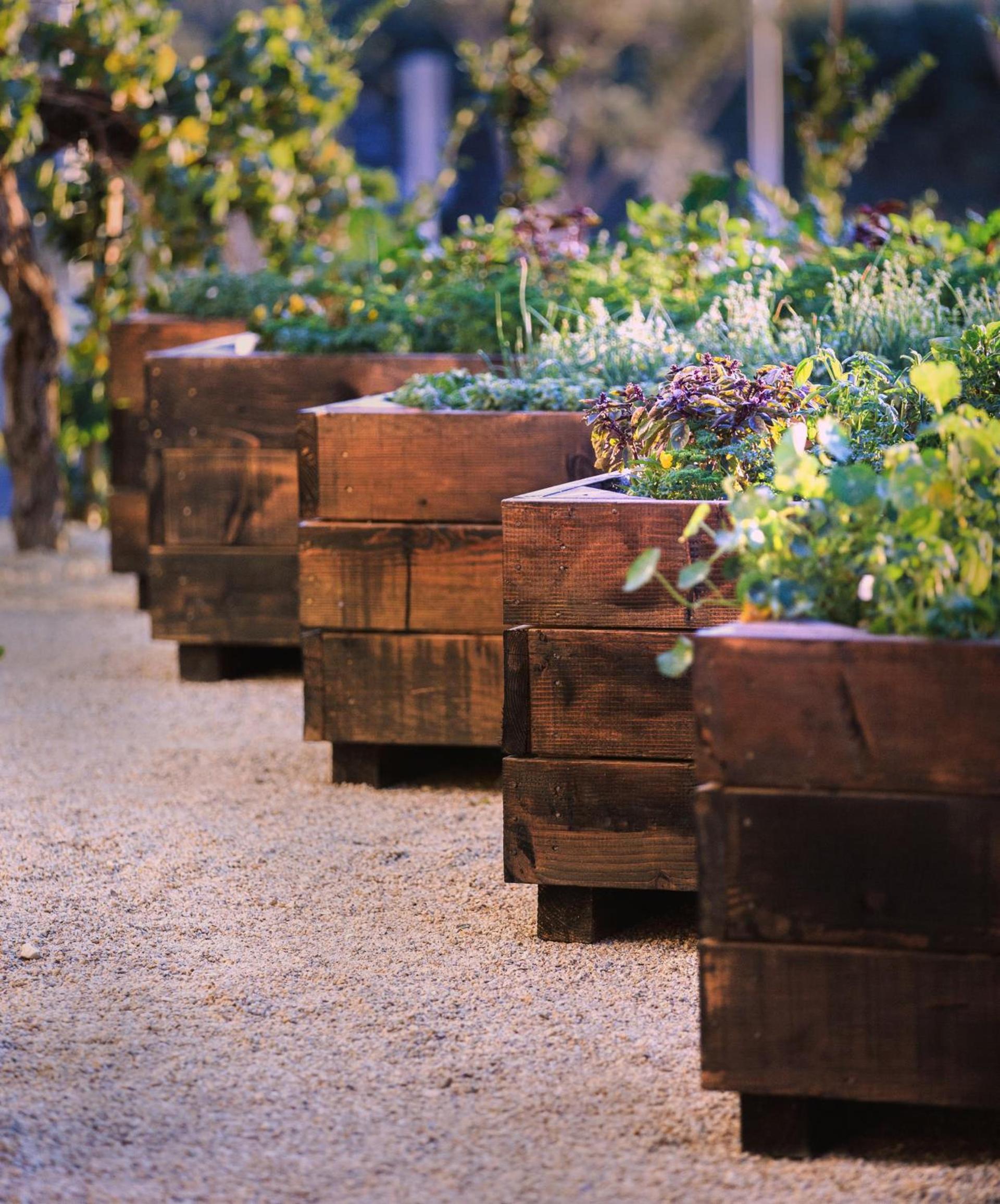 Allegretto Vineyard Resort Paso Robles photo 50