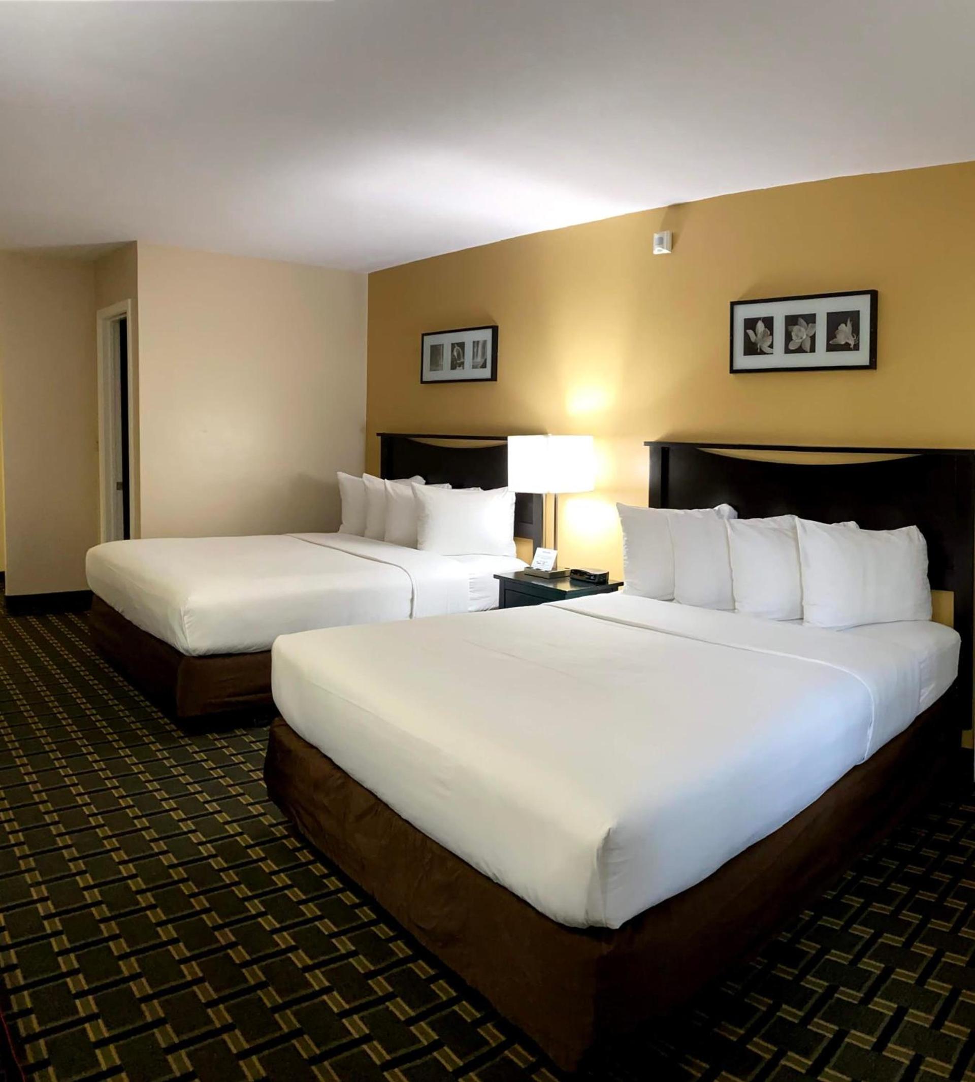 Stanford Inn & Suites Anaheim photo 40