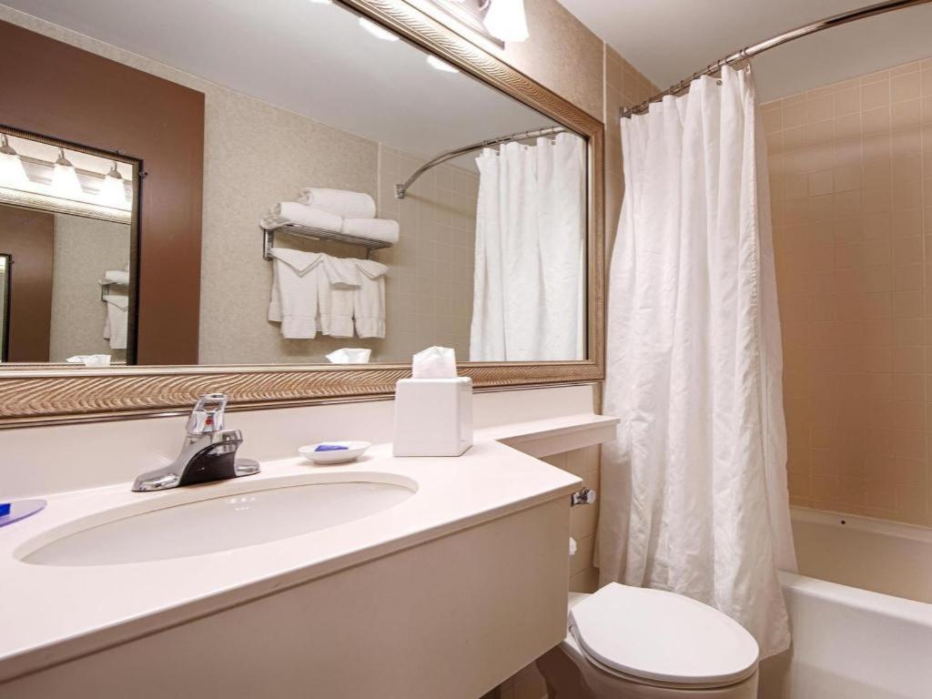 Best Western Plus Chelmsford Inn photo 16