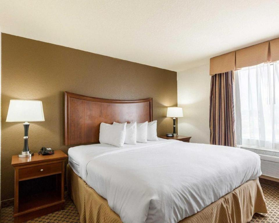 Quality Suites photo 10