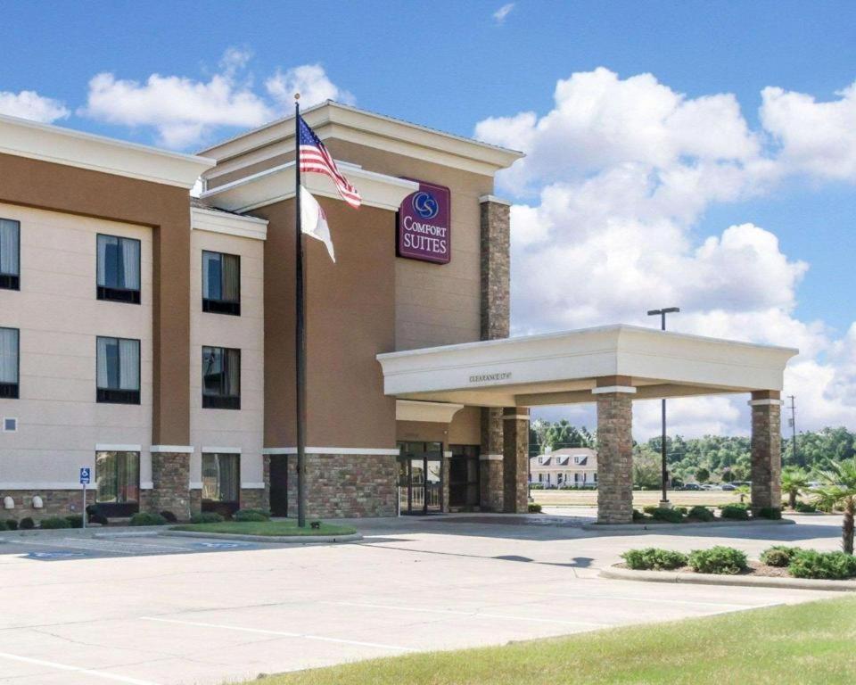 Comfort Suites photo 1