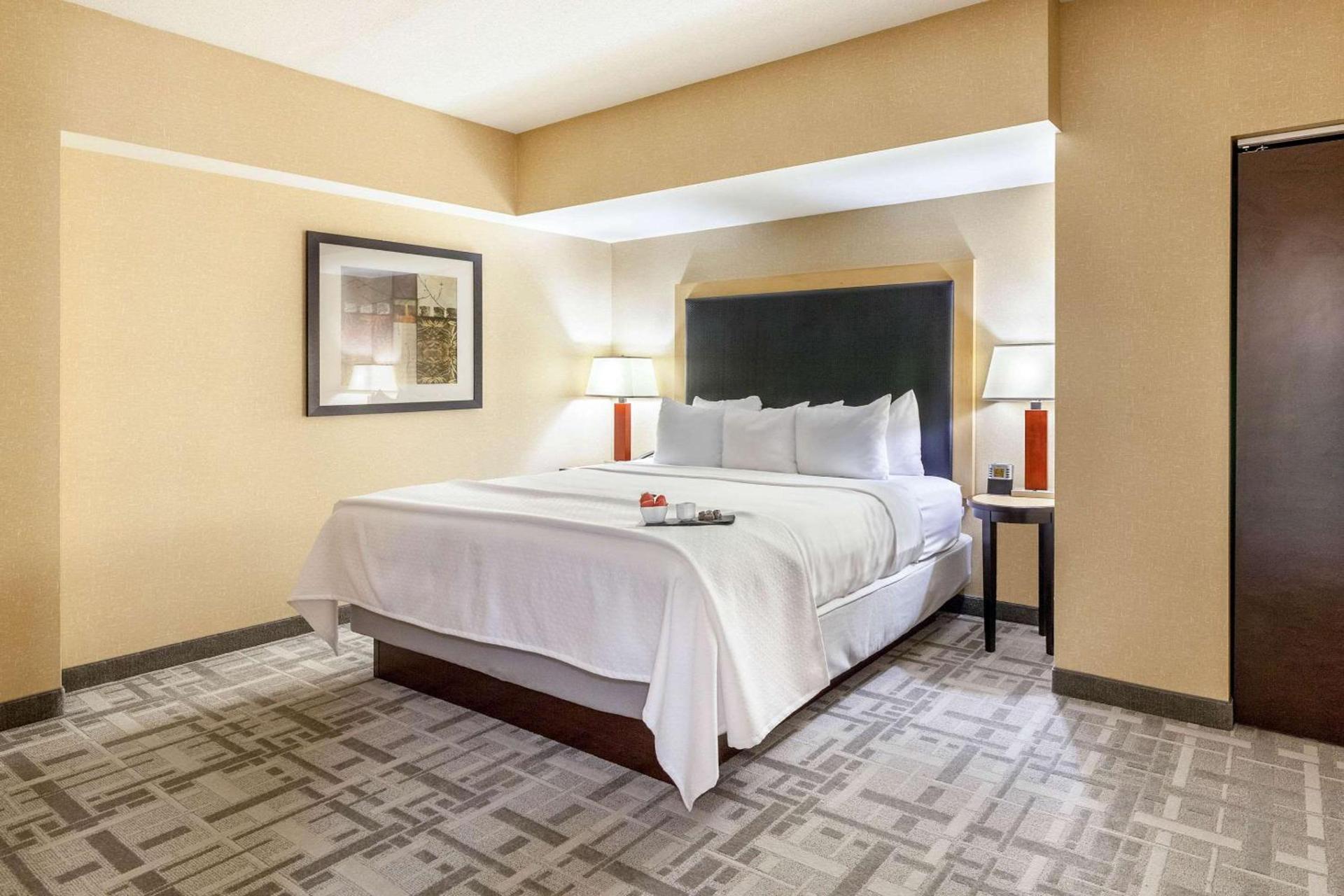Cambria Hotel Pittsburgh - Downtown photo 24