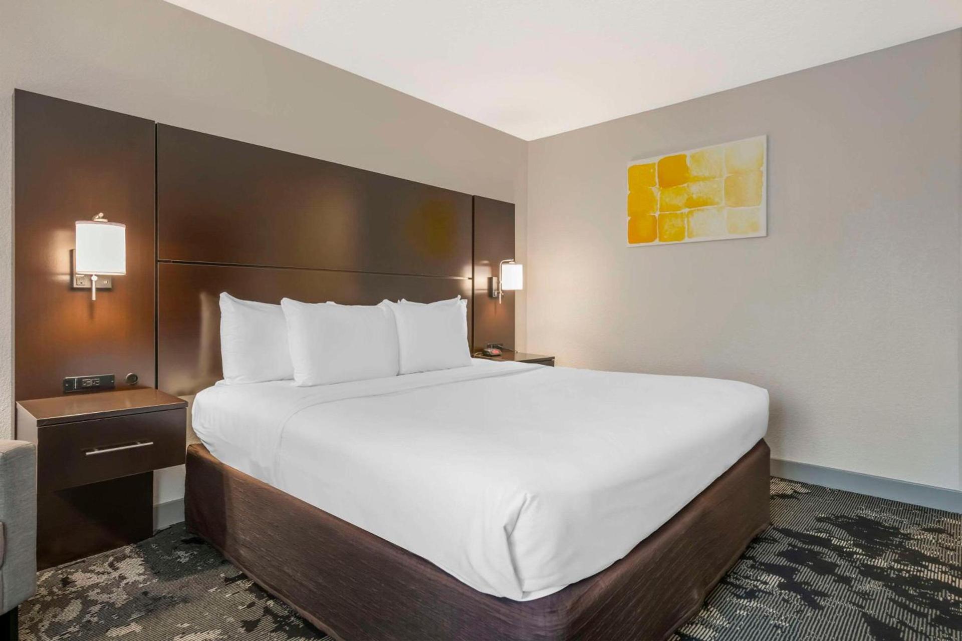 City Express by Marriott Orlando International Drive photo 33