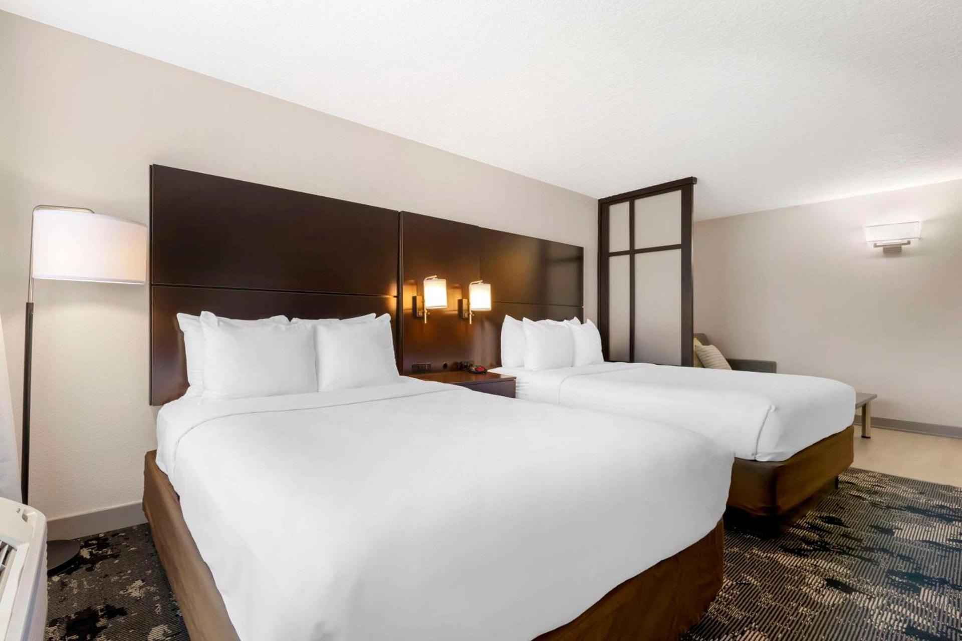 City Express by Marriott Orlando International Drive photo 40