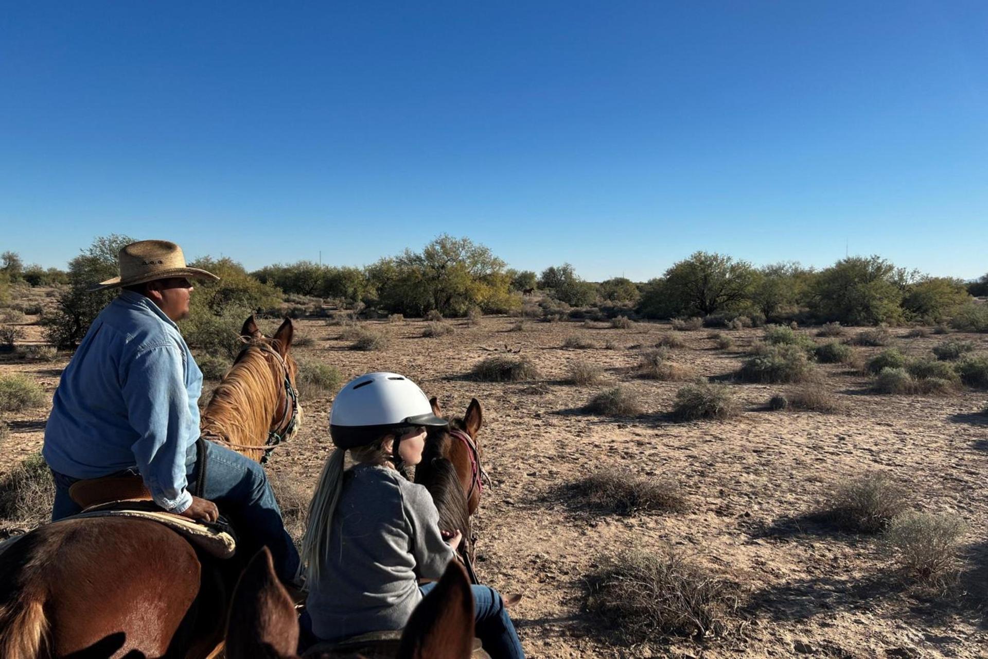 Sheraton Grand at Wild Horse Pass photo 79