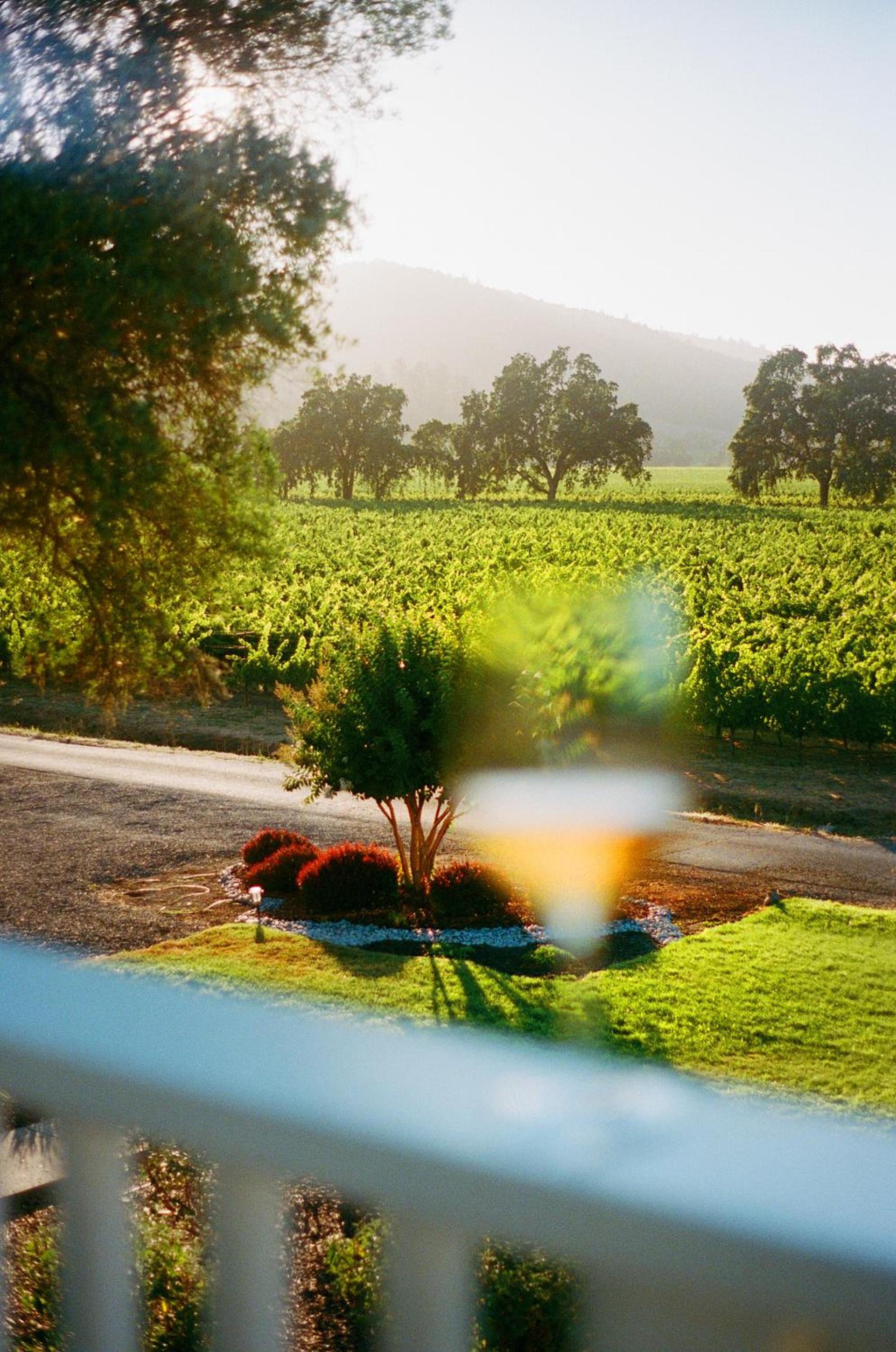 The Setting Inn Napa Valley photo 2