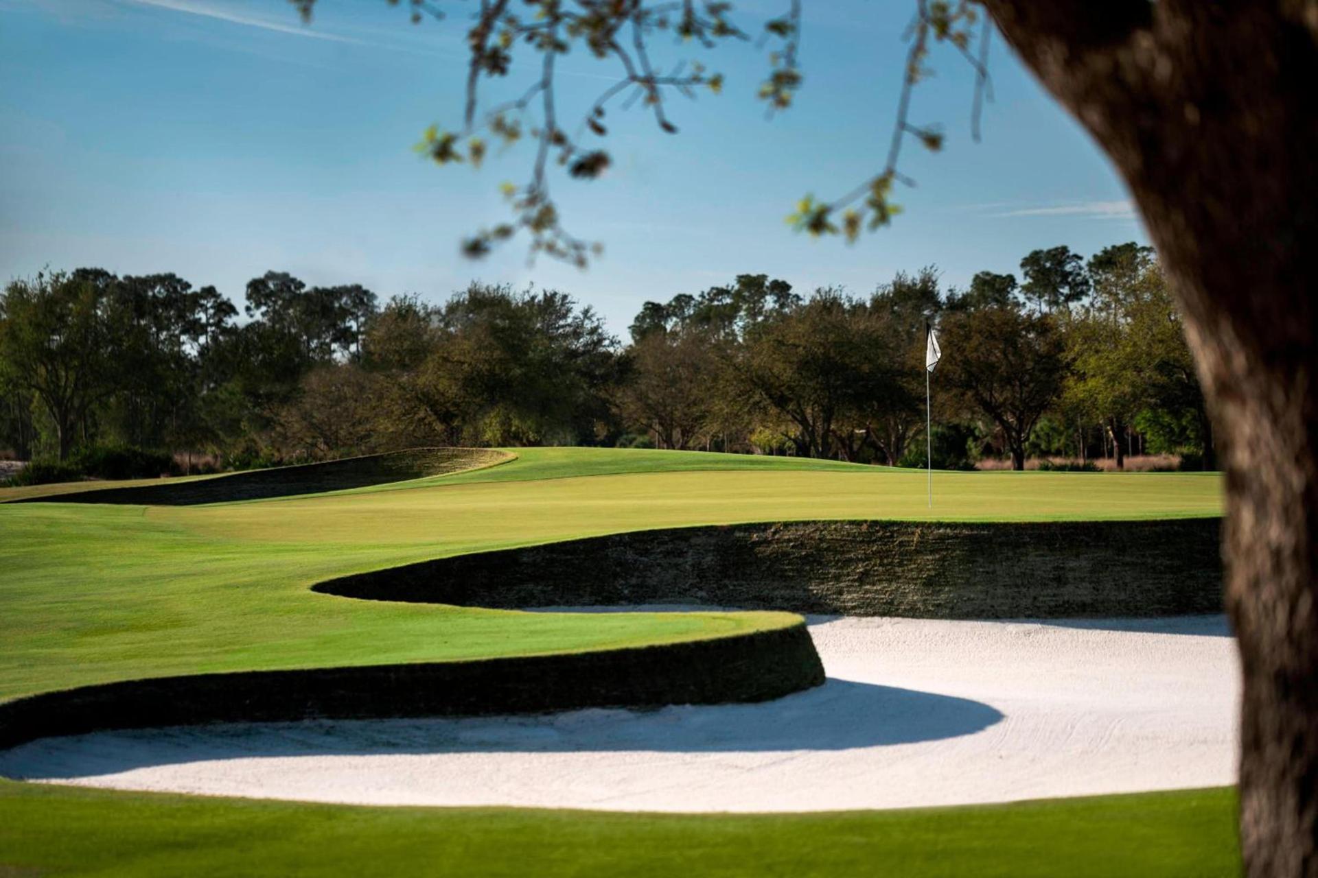 The Ritz-Carlton Naples, Tiburon photo 45