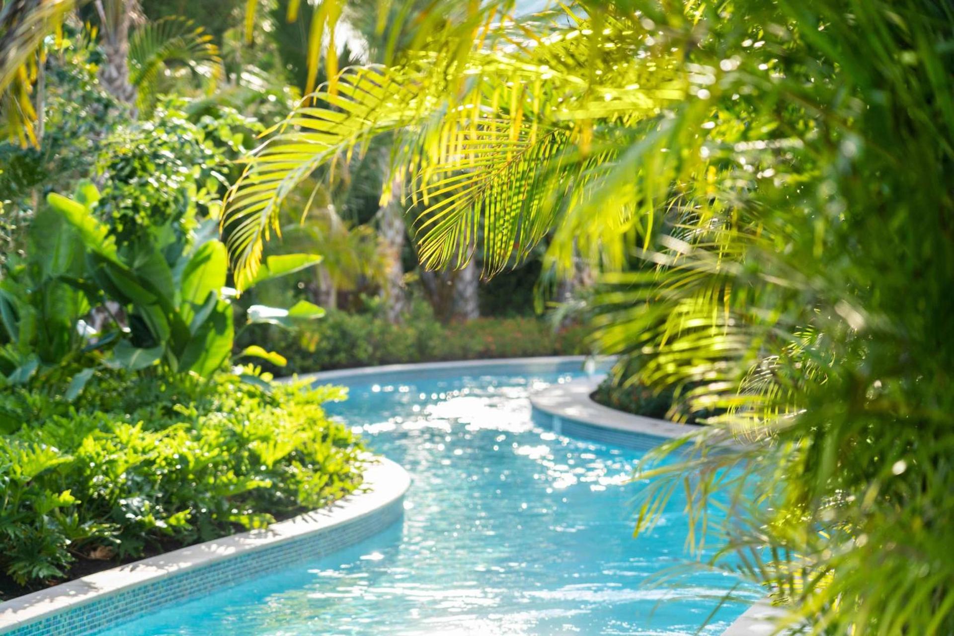 The Ritz-Carlton Naples, Tiburon photo 38