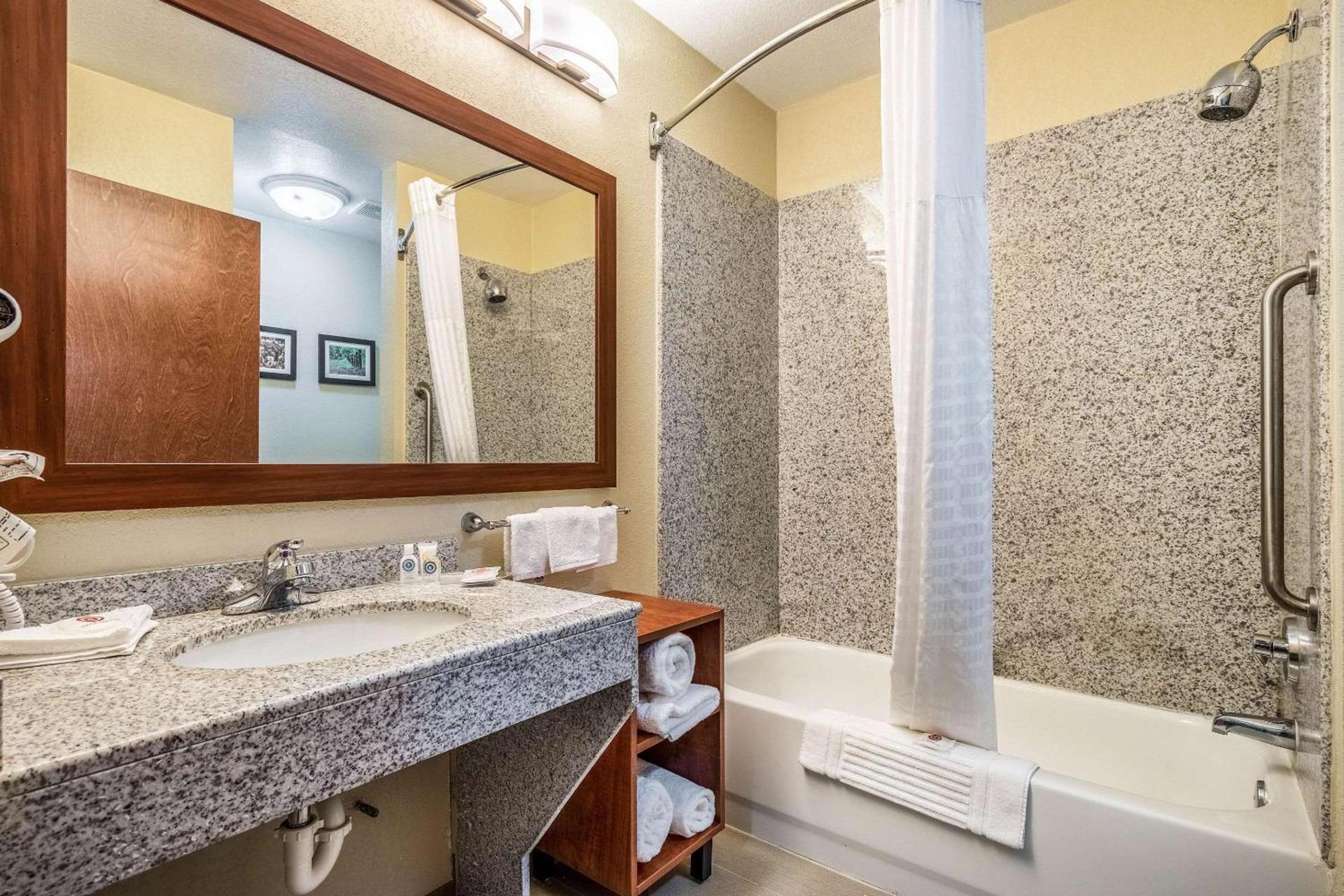 Comfort Suites Near Texas State University photo 12