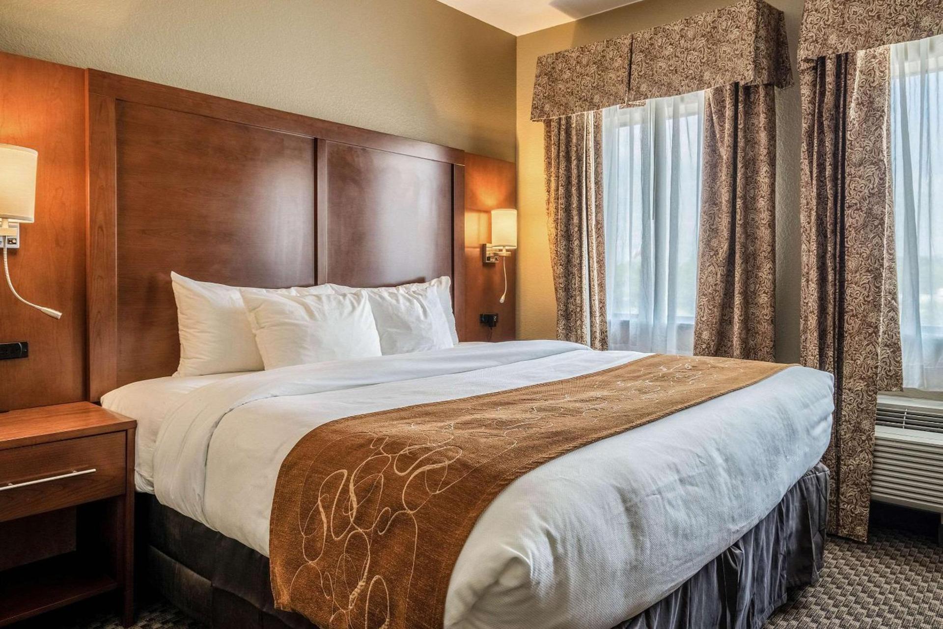 Comfort Suites Near Texas State University photo 13