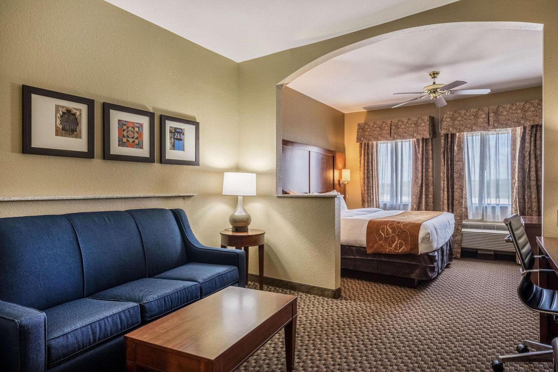 Comfort Suites Near Texas State University photo 14