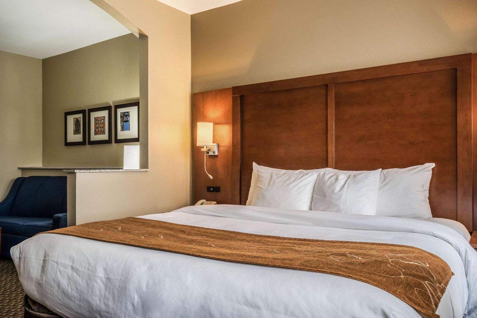 Comfort Suites Near Texas State University photo 15