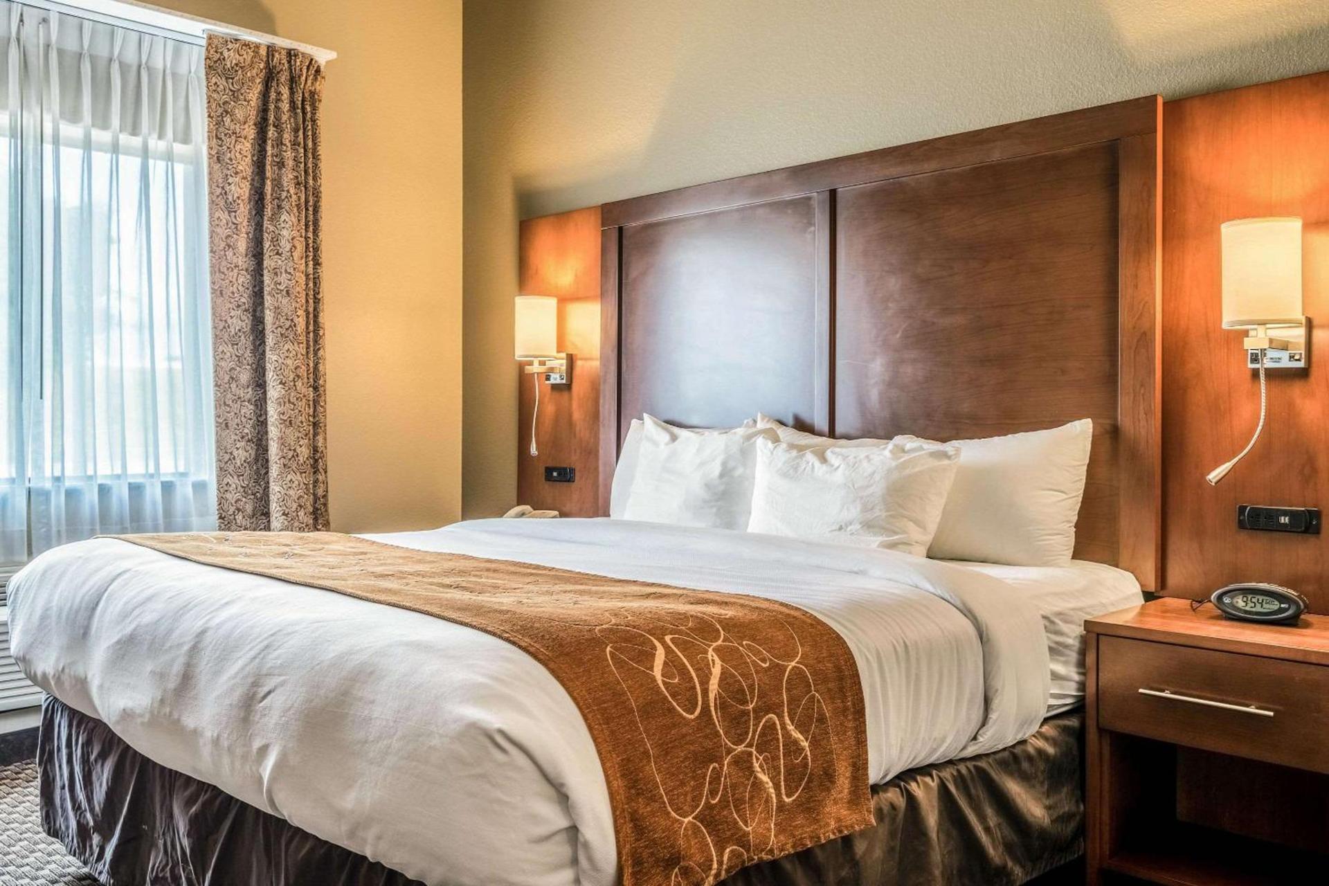 Comfort Suites Near Texas State University photo 17