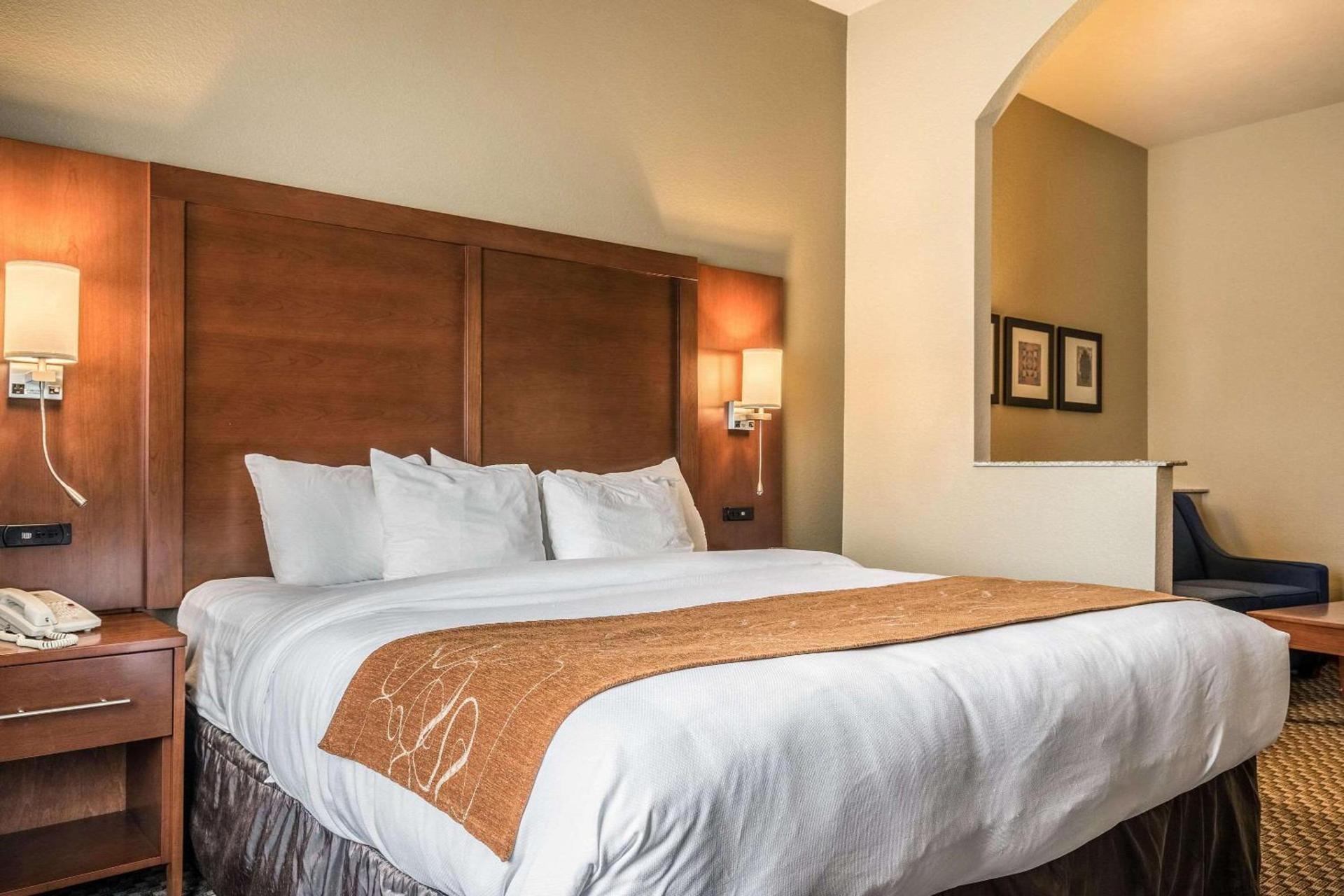 Comfort Suites Near Texas State University photo 18