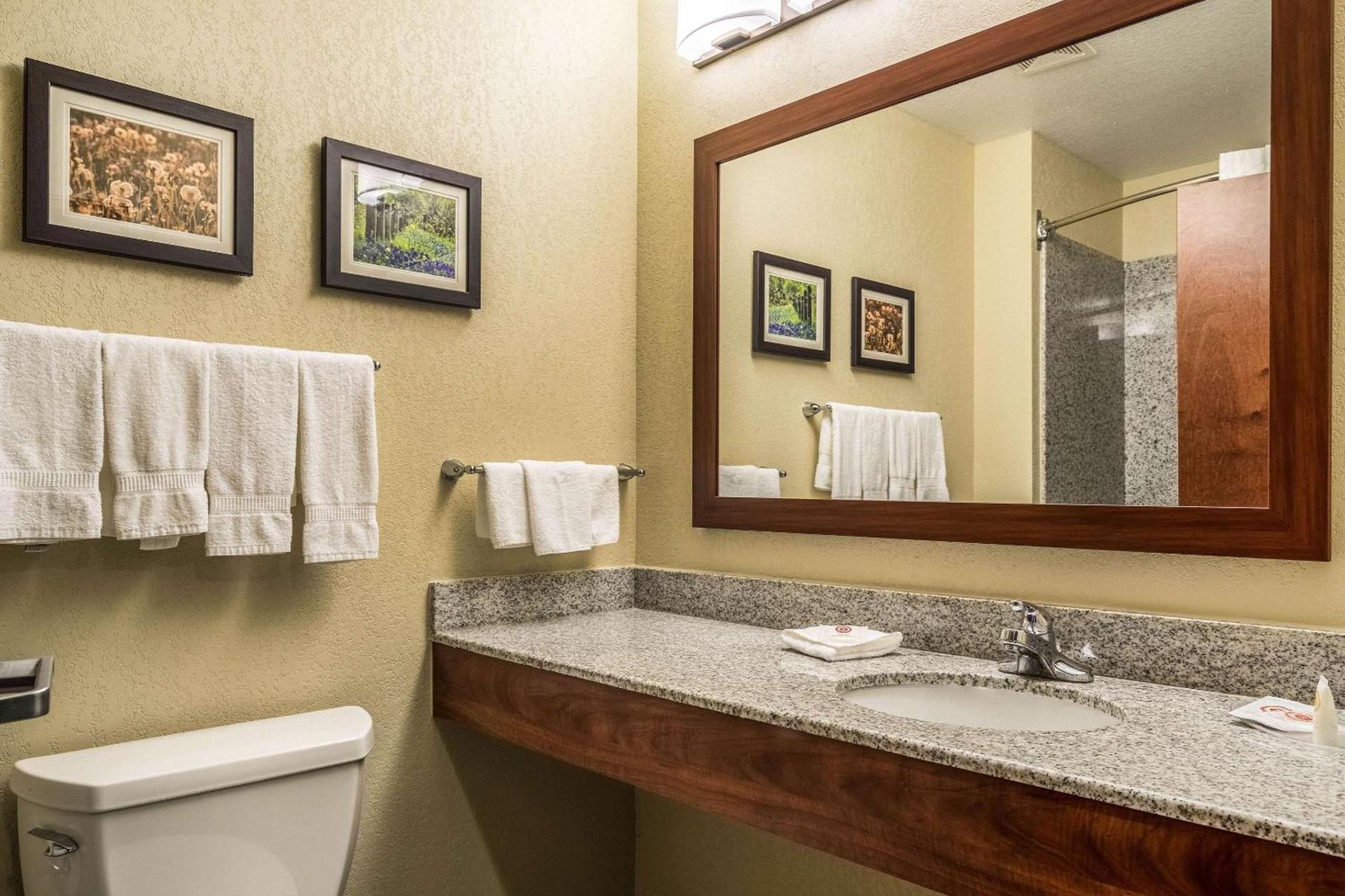 Comfort Suites Near Texas State University photo 19