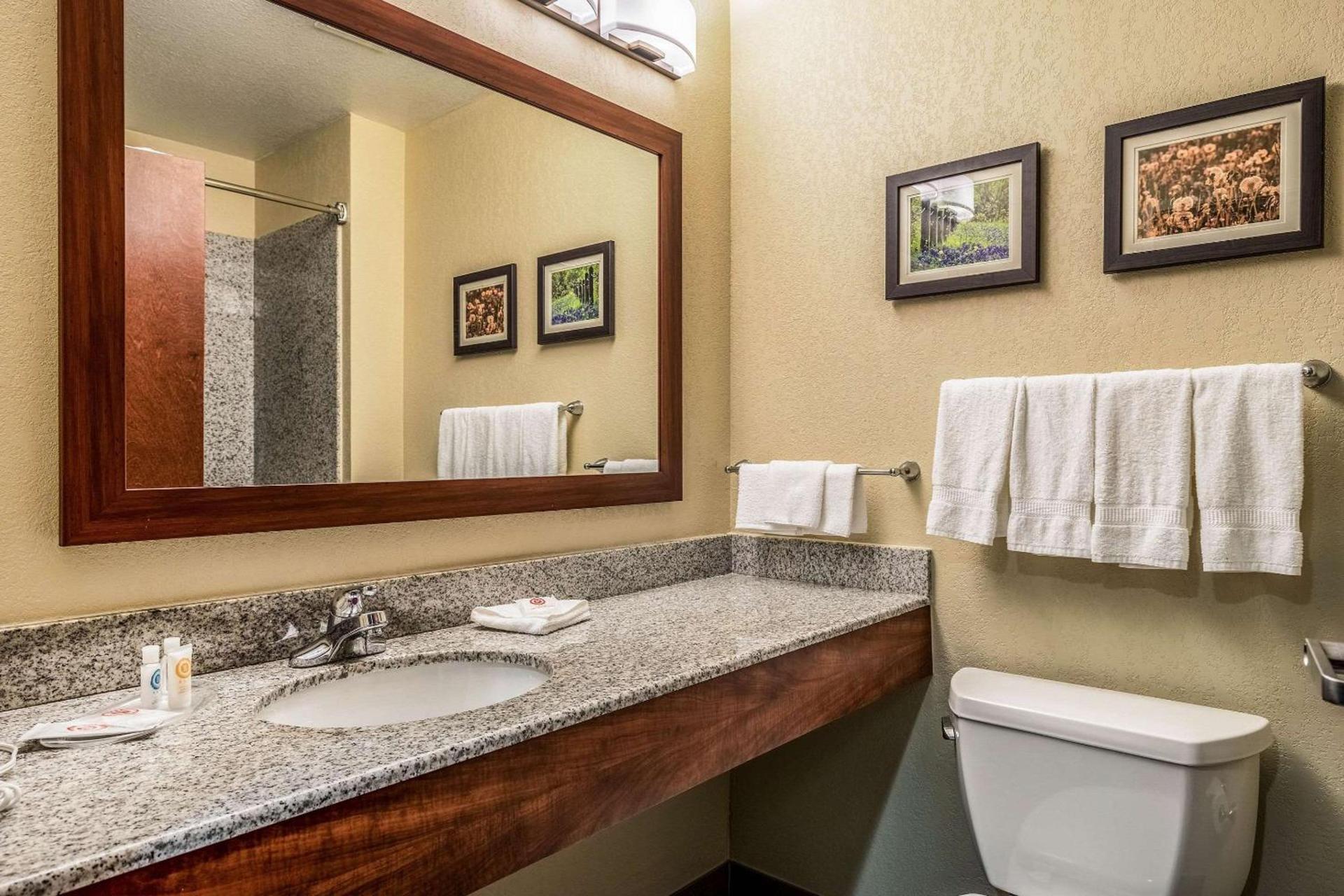Comfort Suites Near Texas State University photo 21