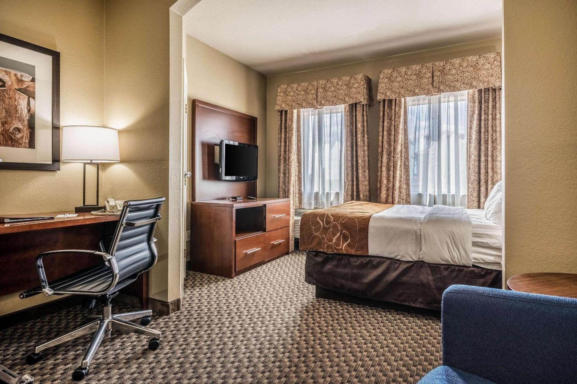 Comfort Suites Near Texas State University photo 24