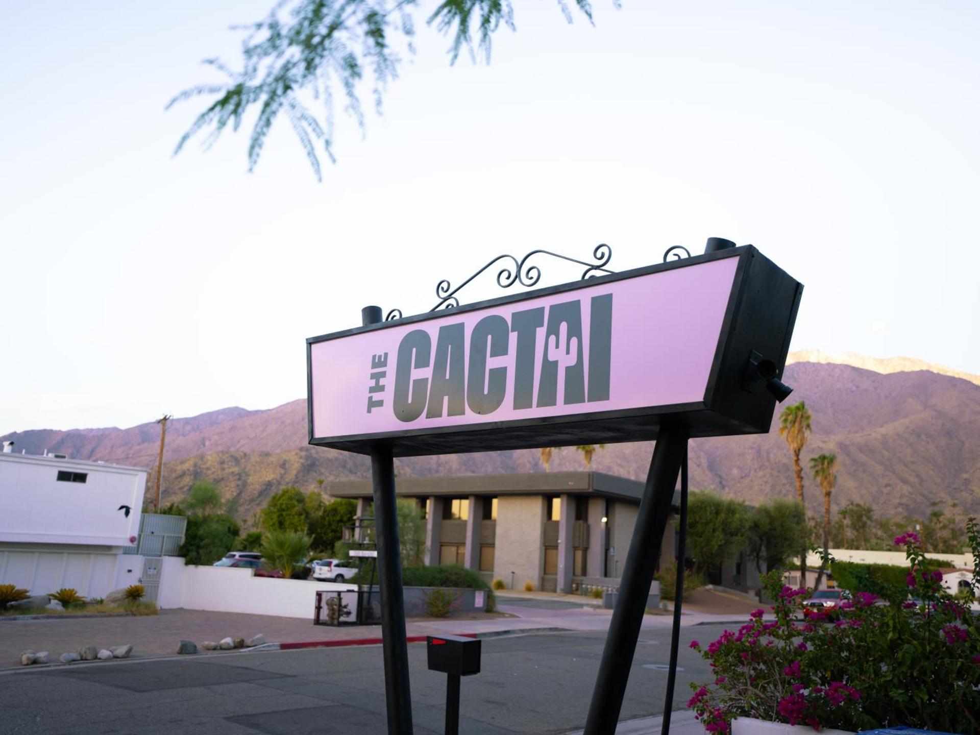The Cactai photo 36